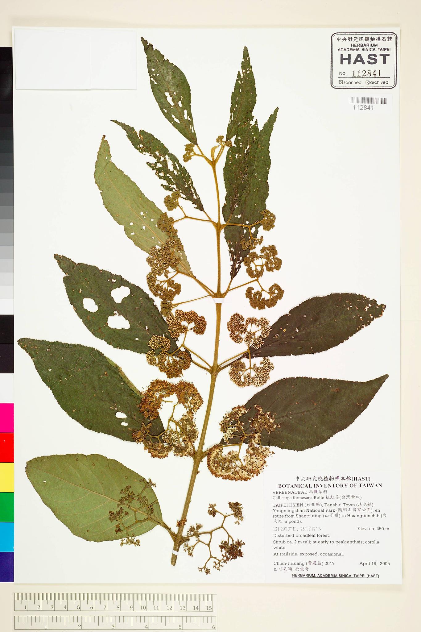 Sample image for viewer