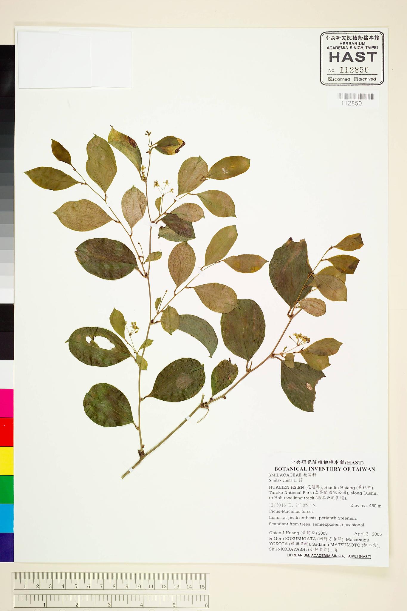 Sample image for viewer