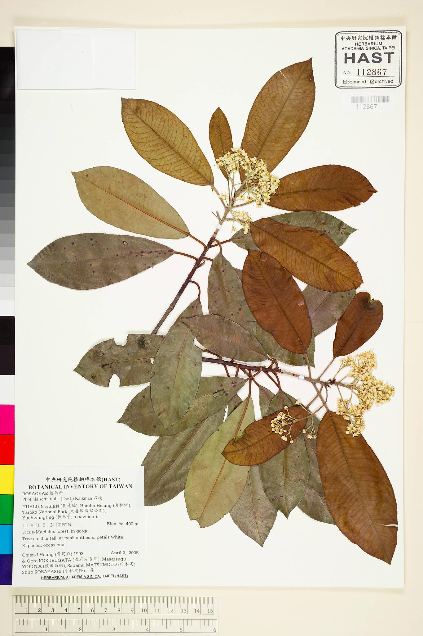 Sample image for viewer