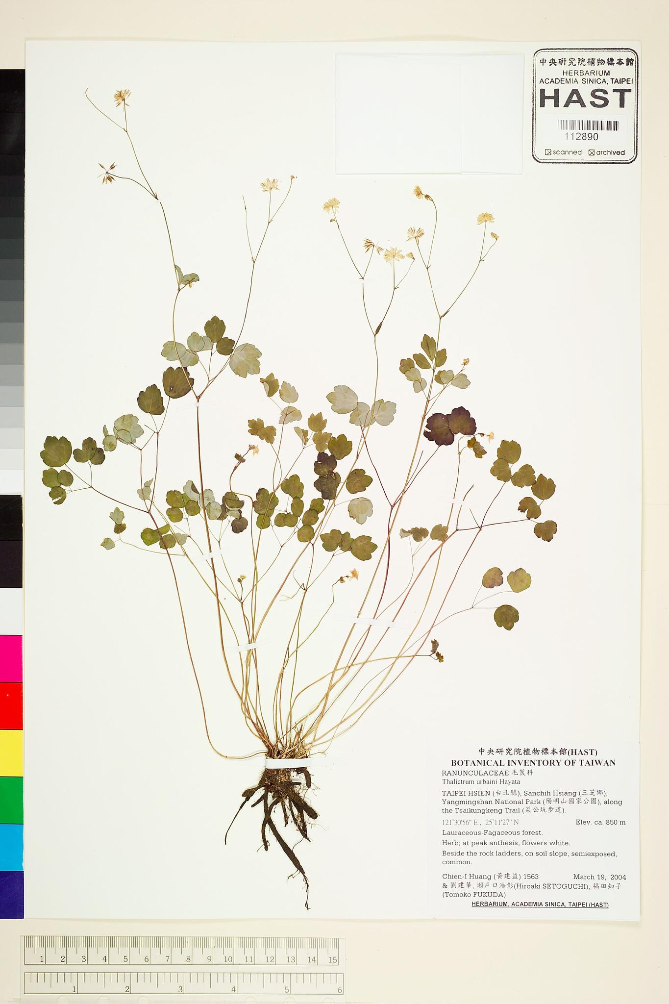 Sample image for viewer