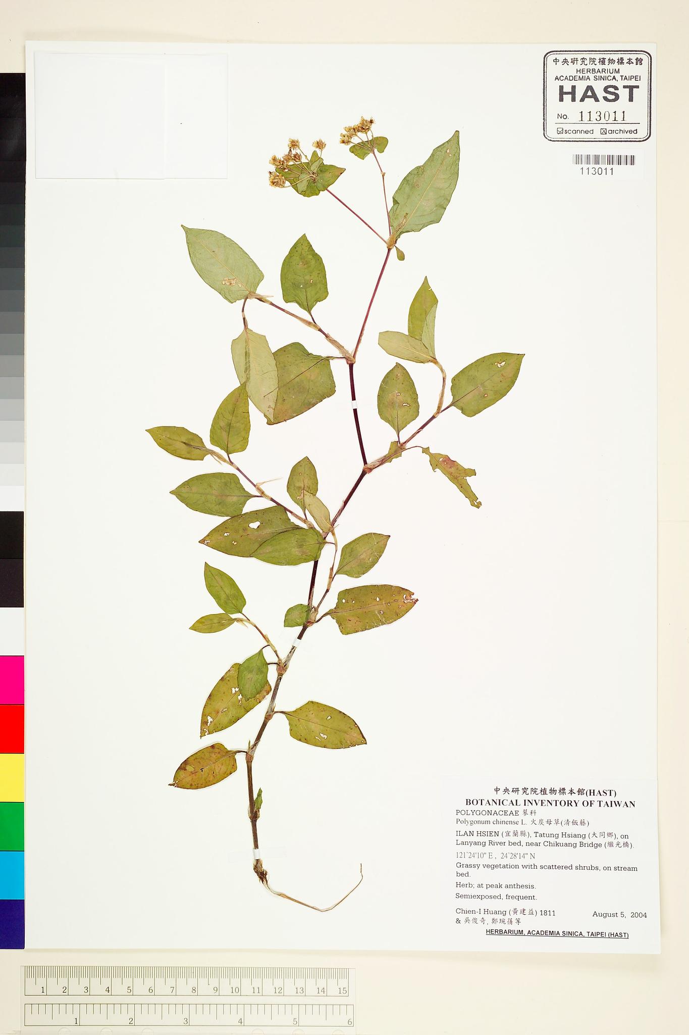 Sample image for viewer