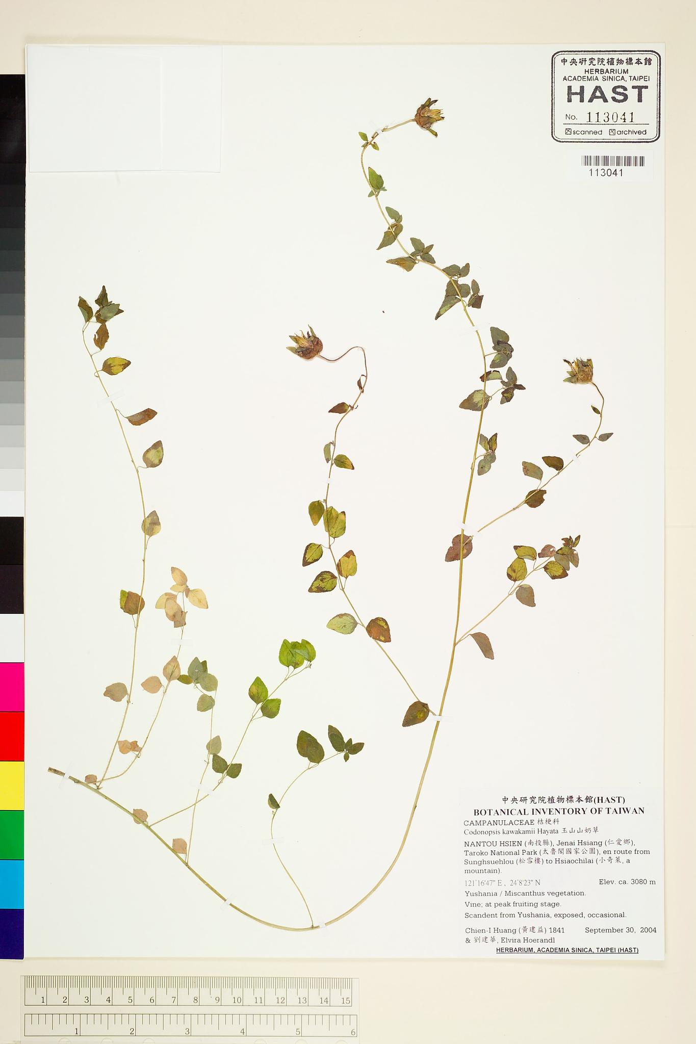 Sample image for viewer