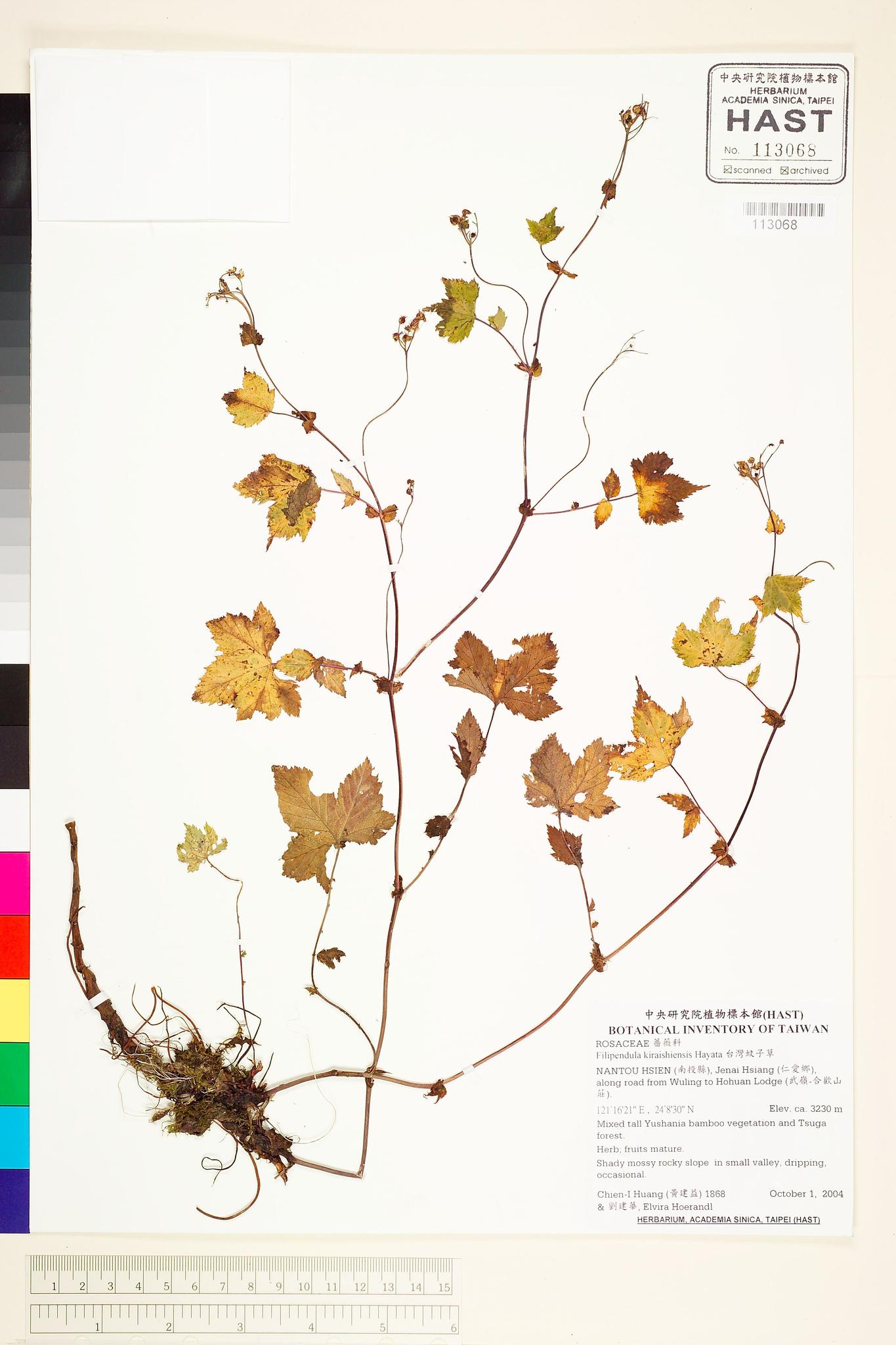 Sample image for viewer