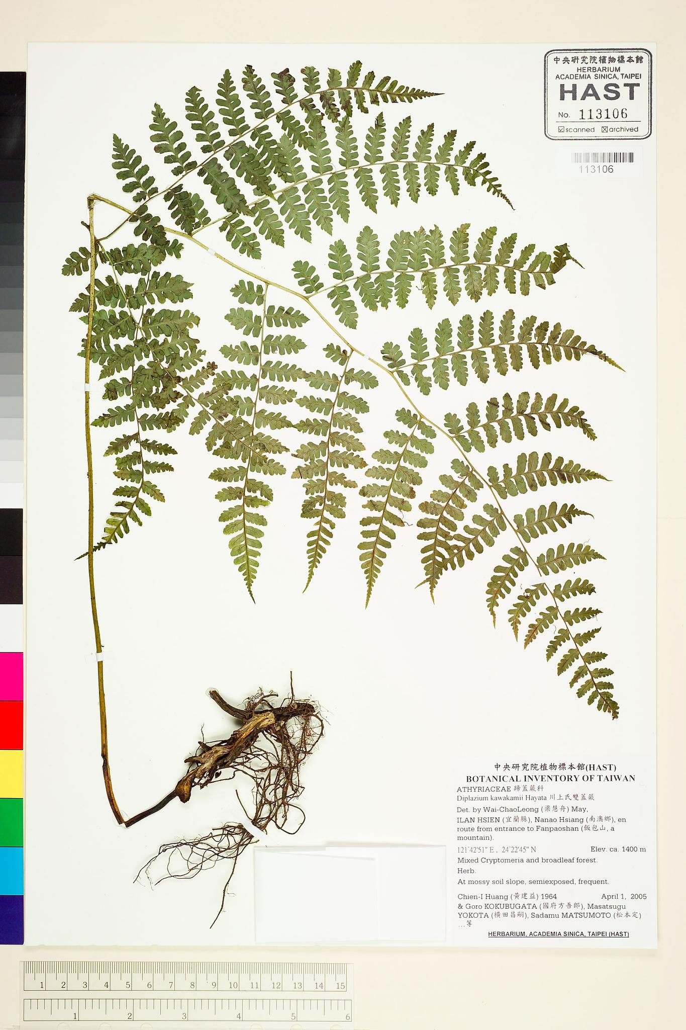 Sample image for viewer