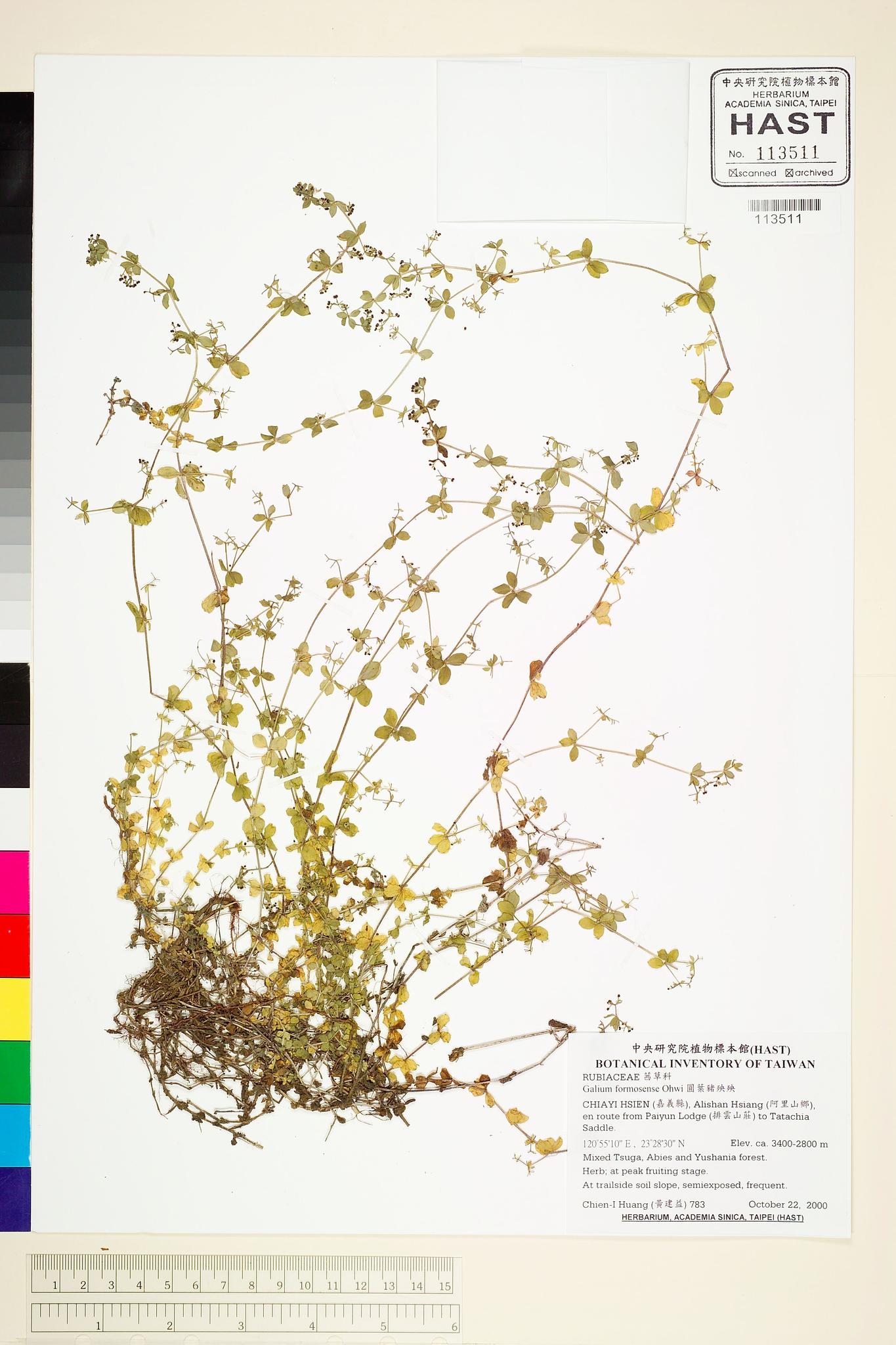 Sample image for viewer