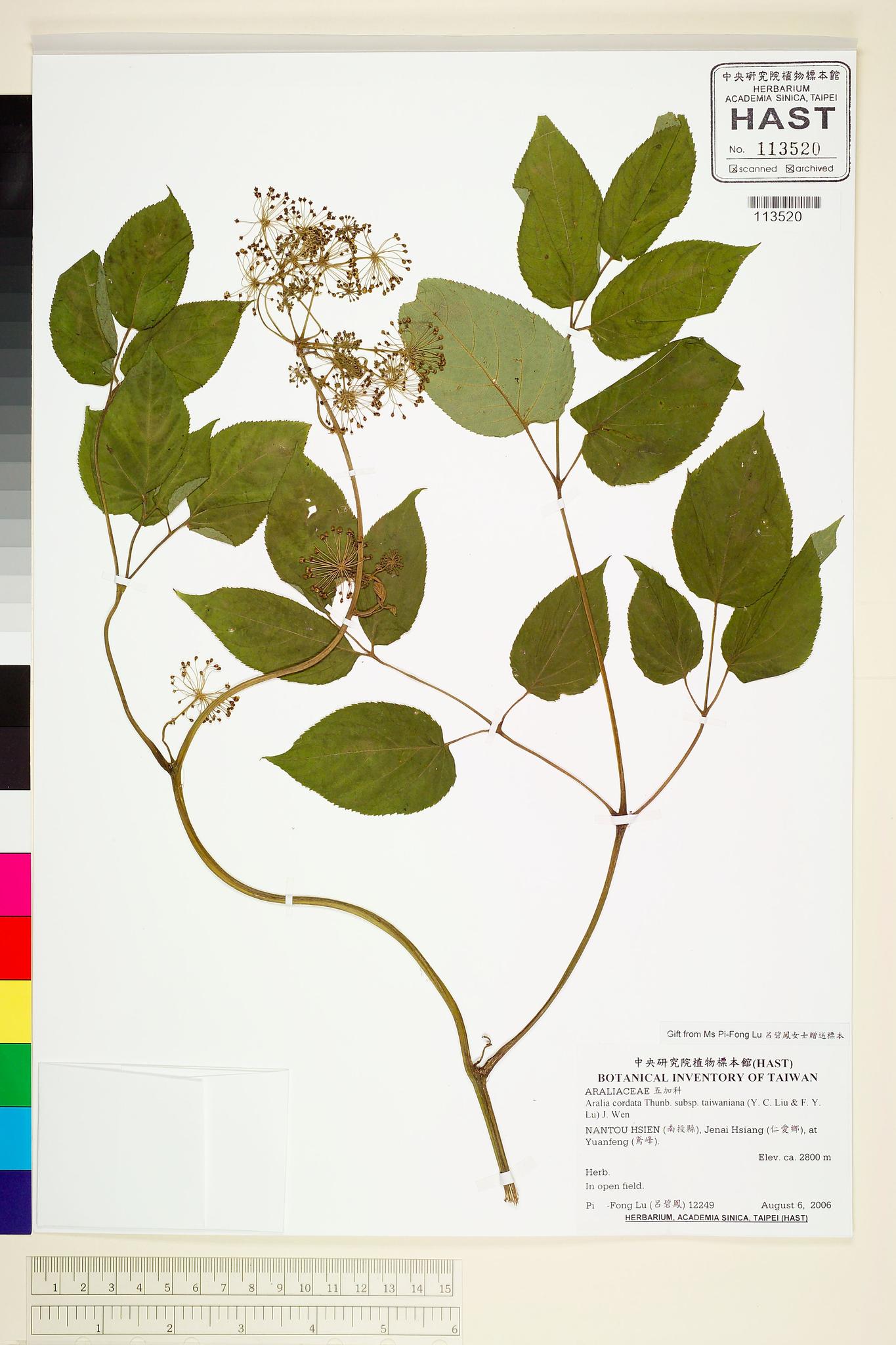 Sample image for viewer