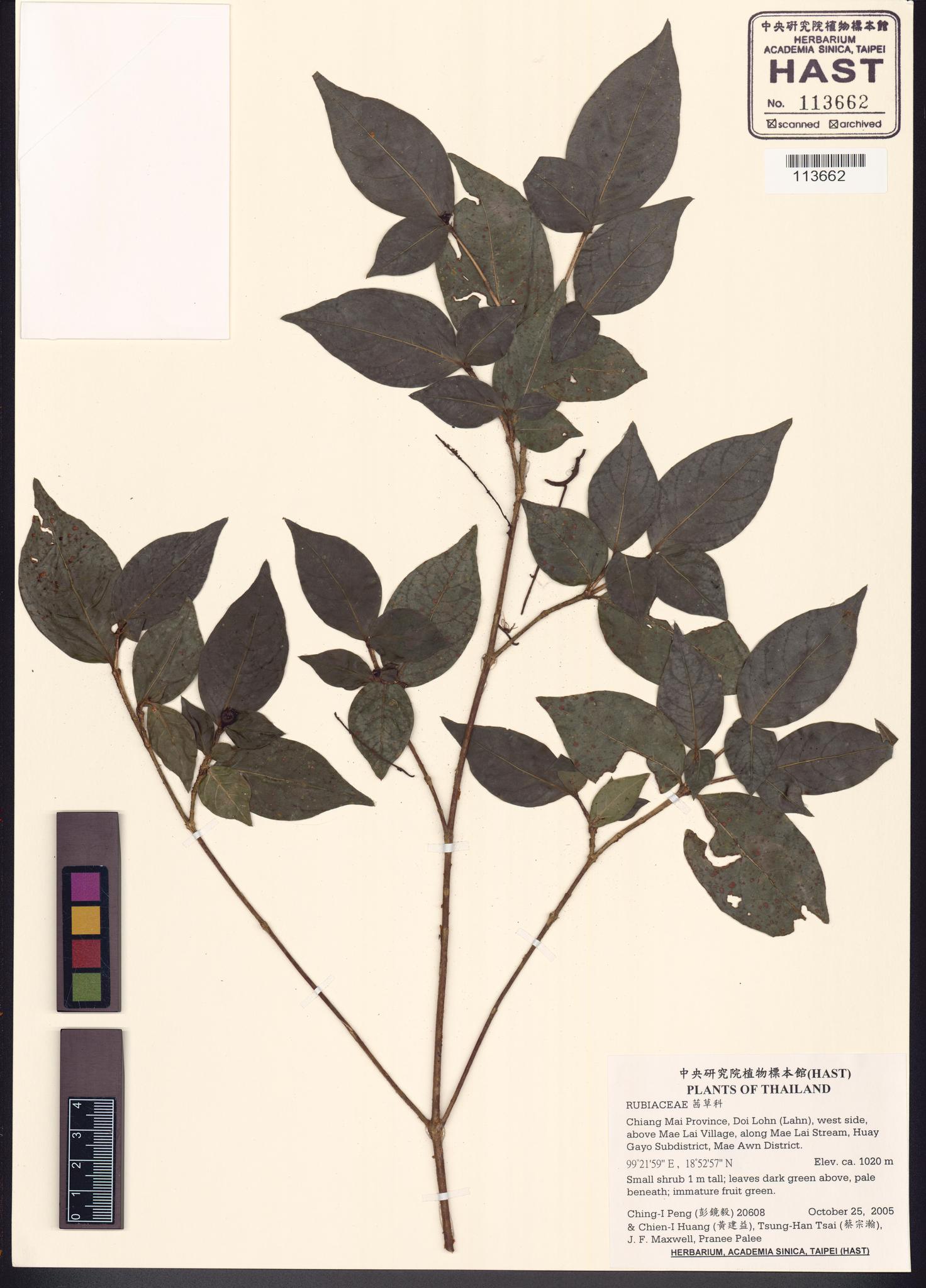 Sample image for viewer