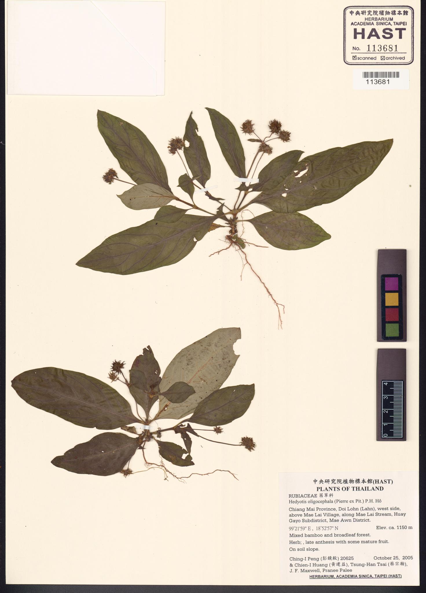 Sample image for viewer