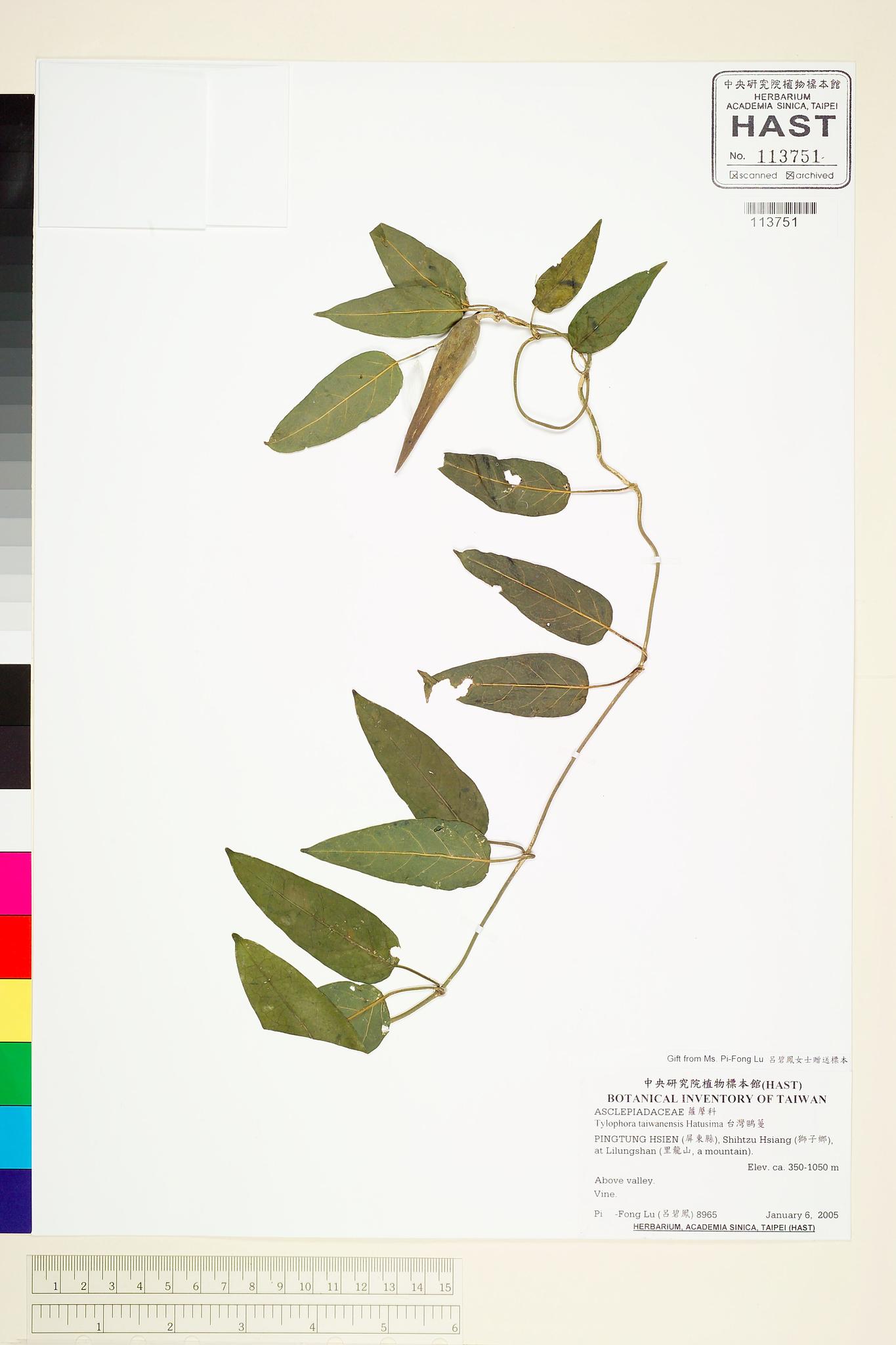 Sample image for viewer