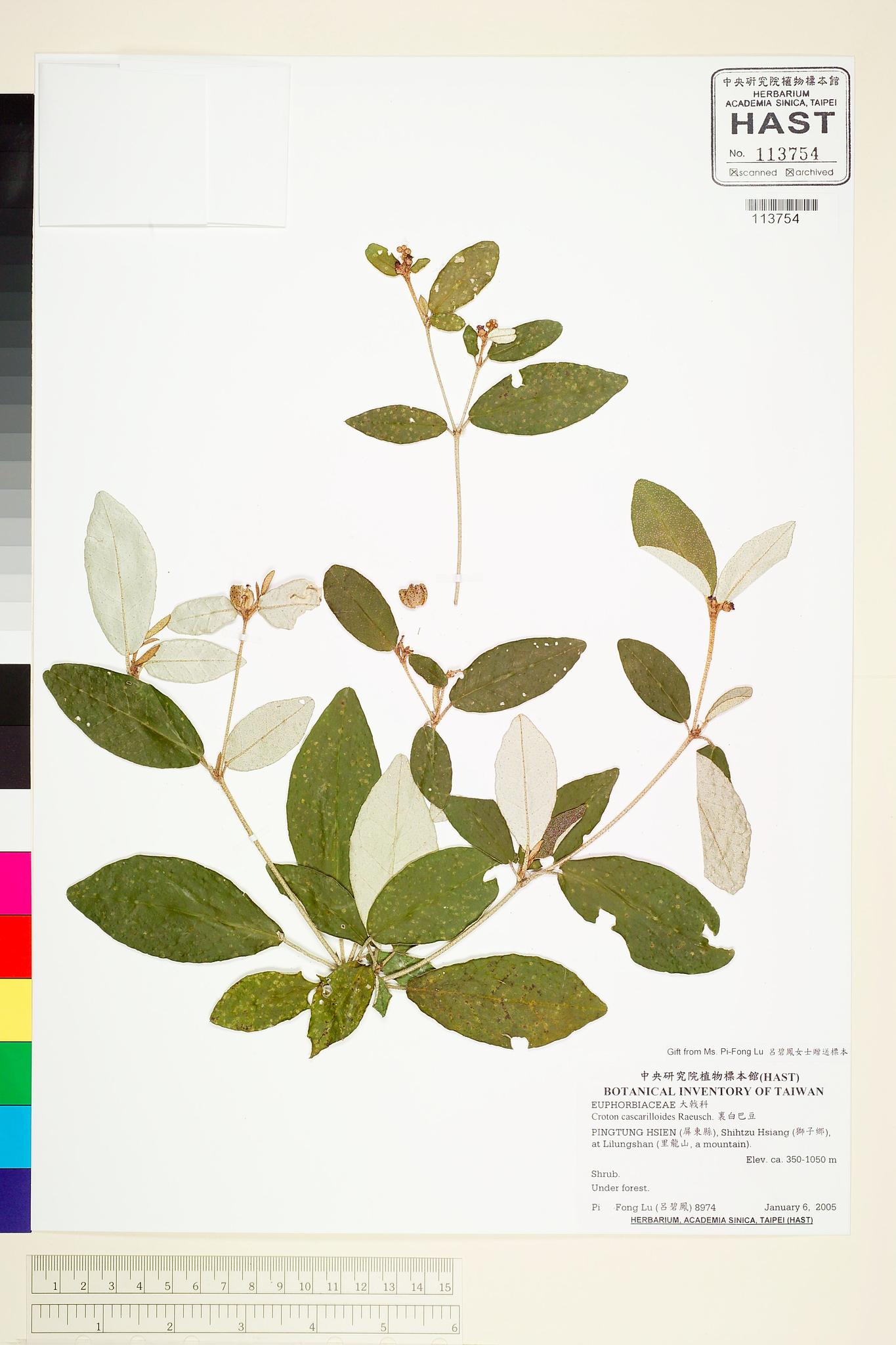 Sample image for viewer