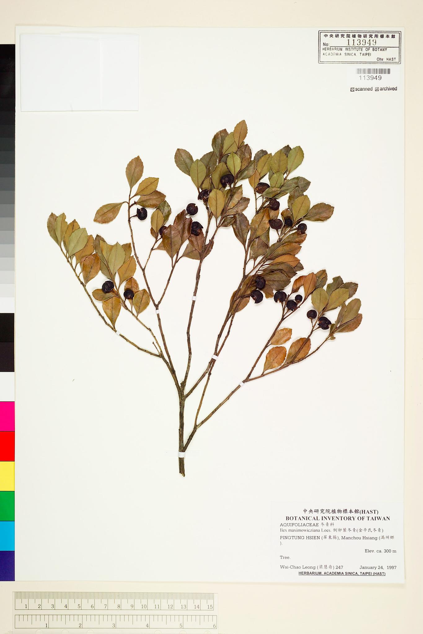 Sample image for viewer