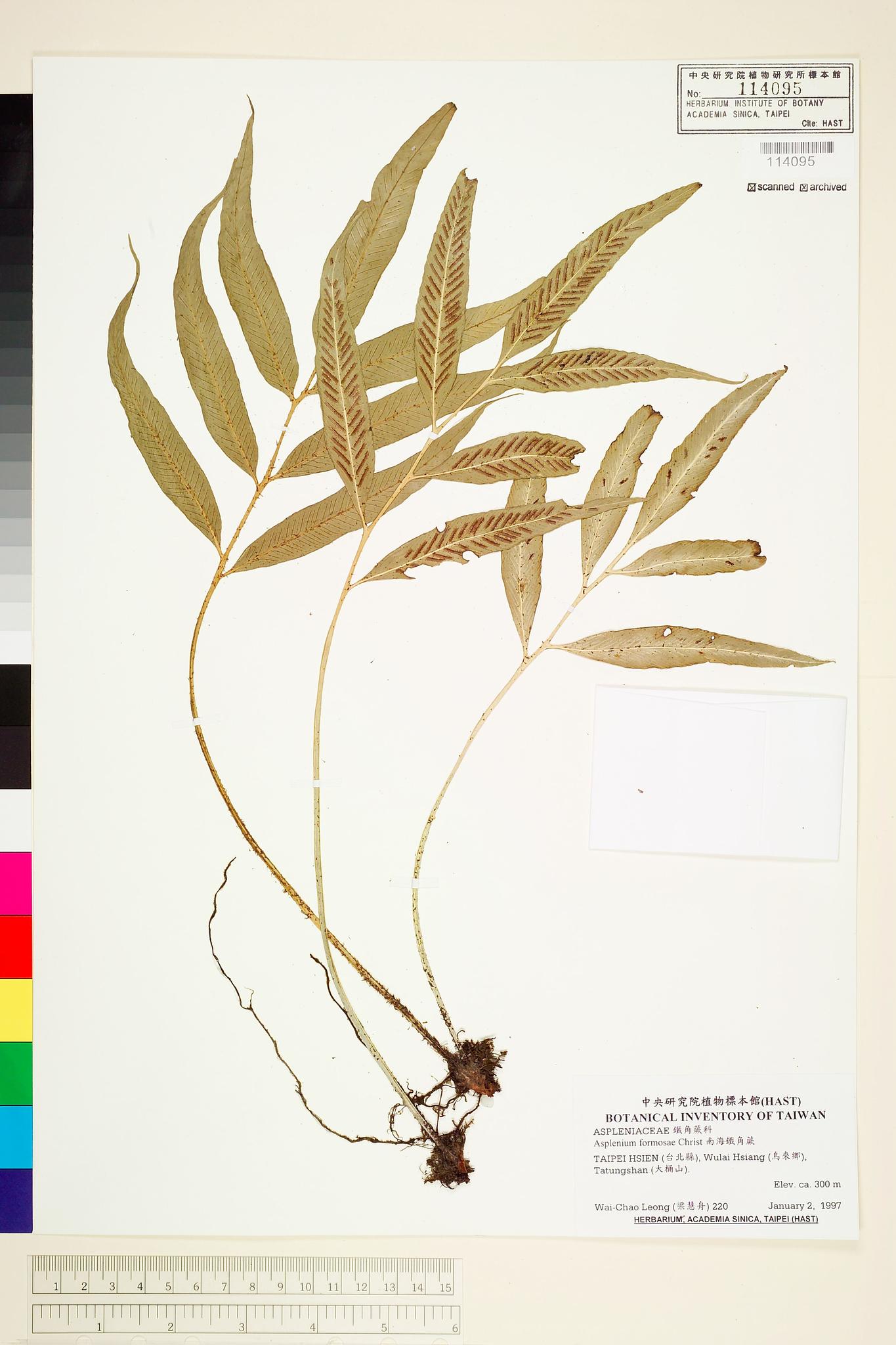 Sample image for viewer