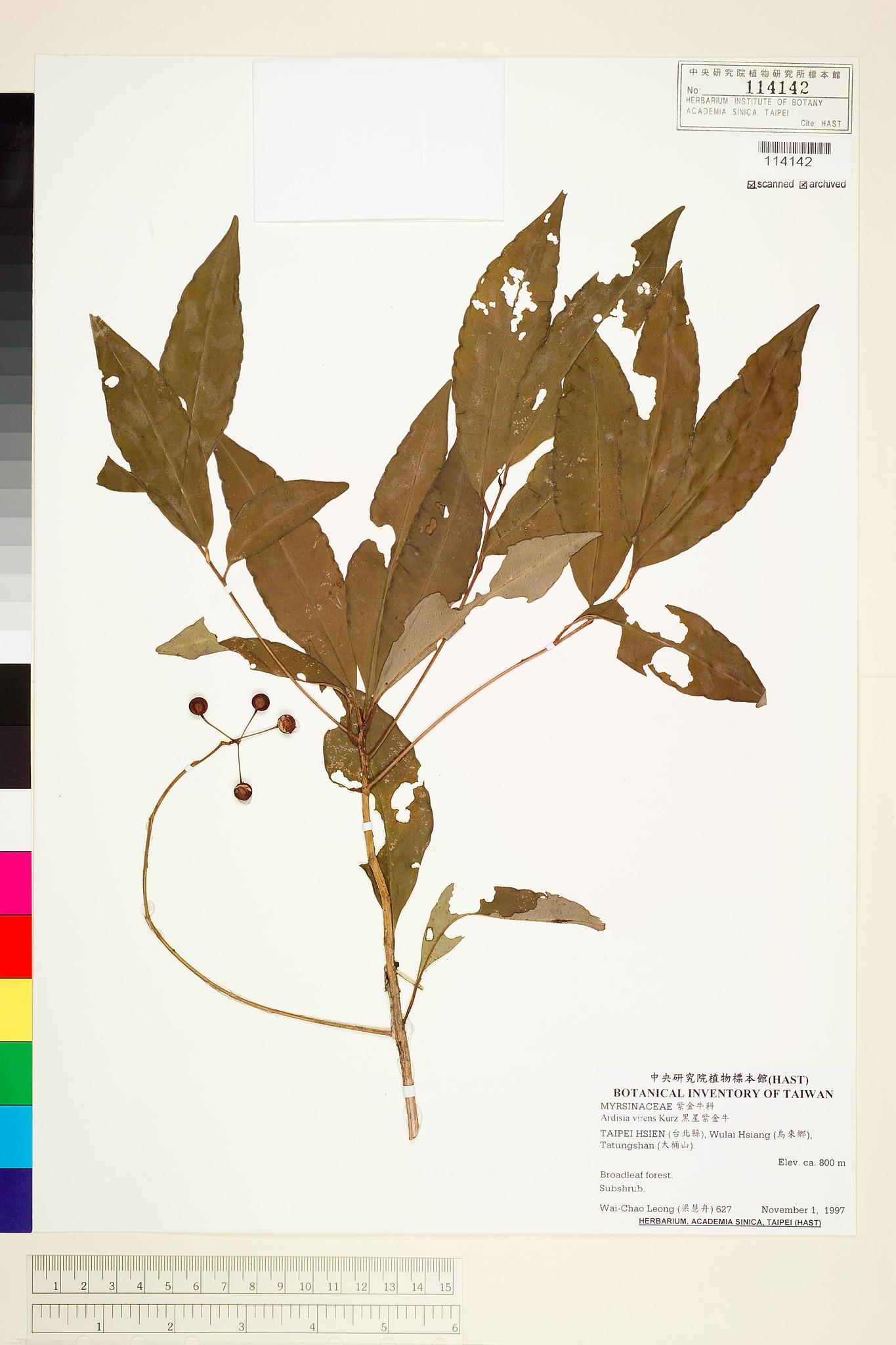 Sample image for viewer