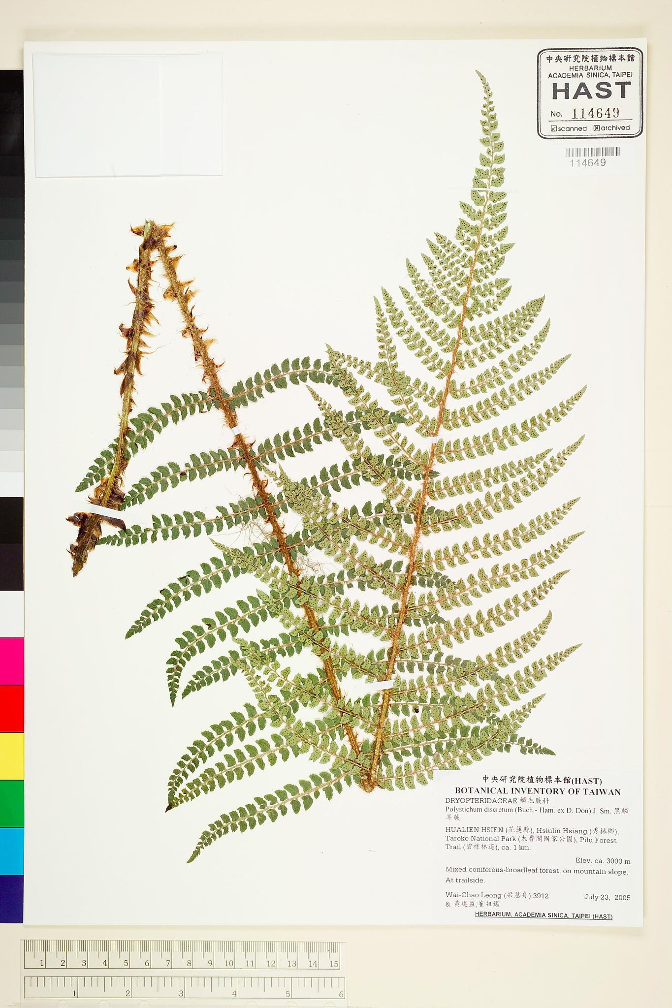 Sample image for viewer