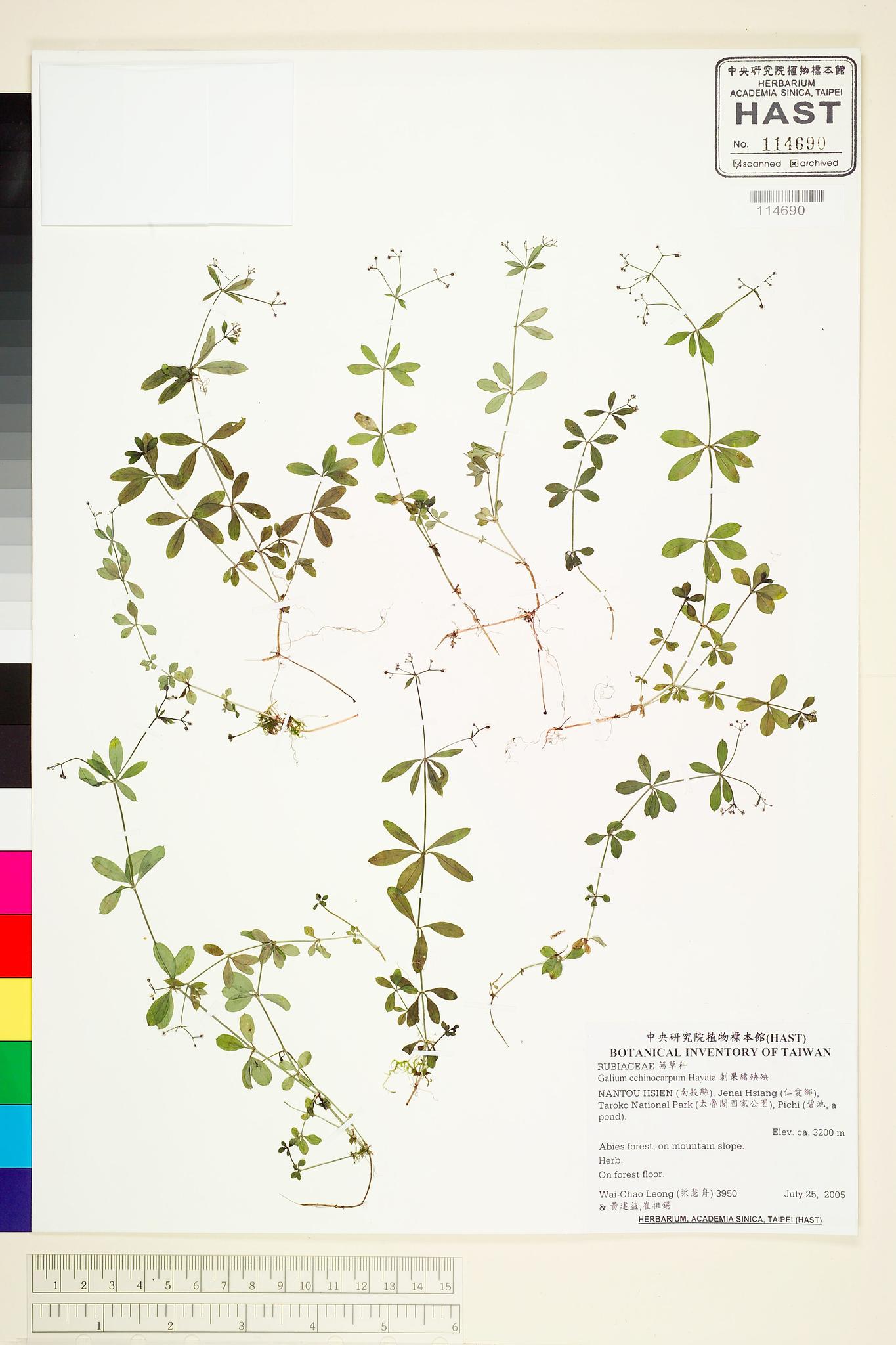 Sample image for viewer