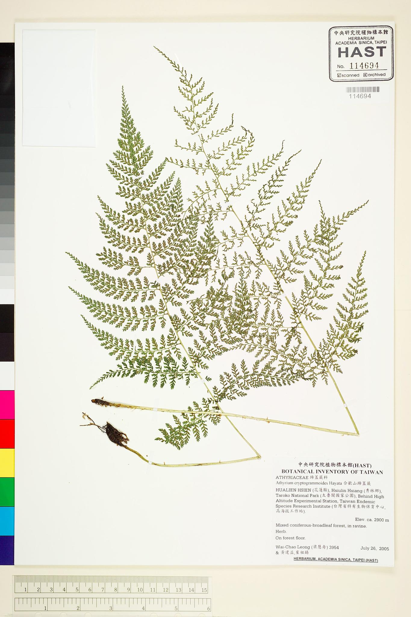 Sample image for viewer