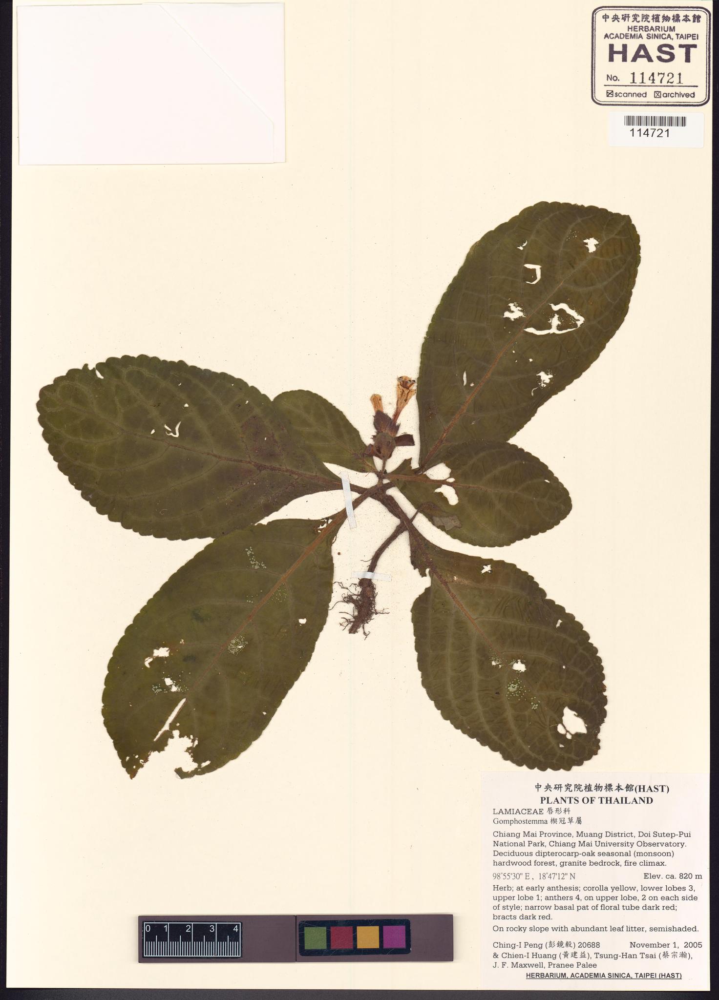 Sample image for viewer