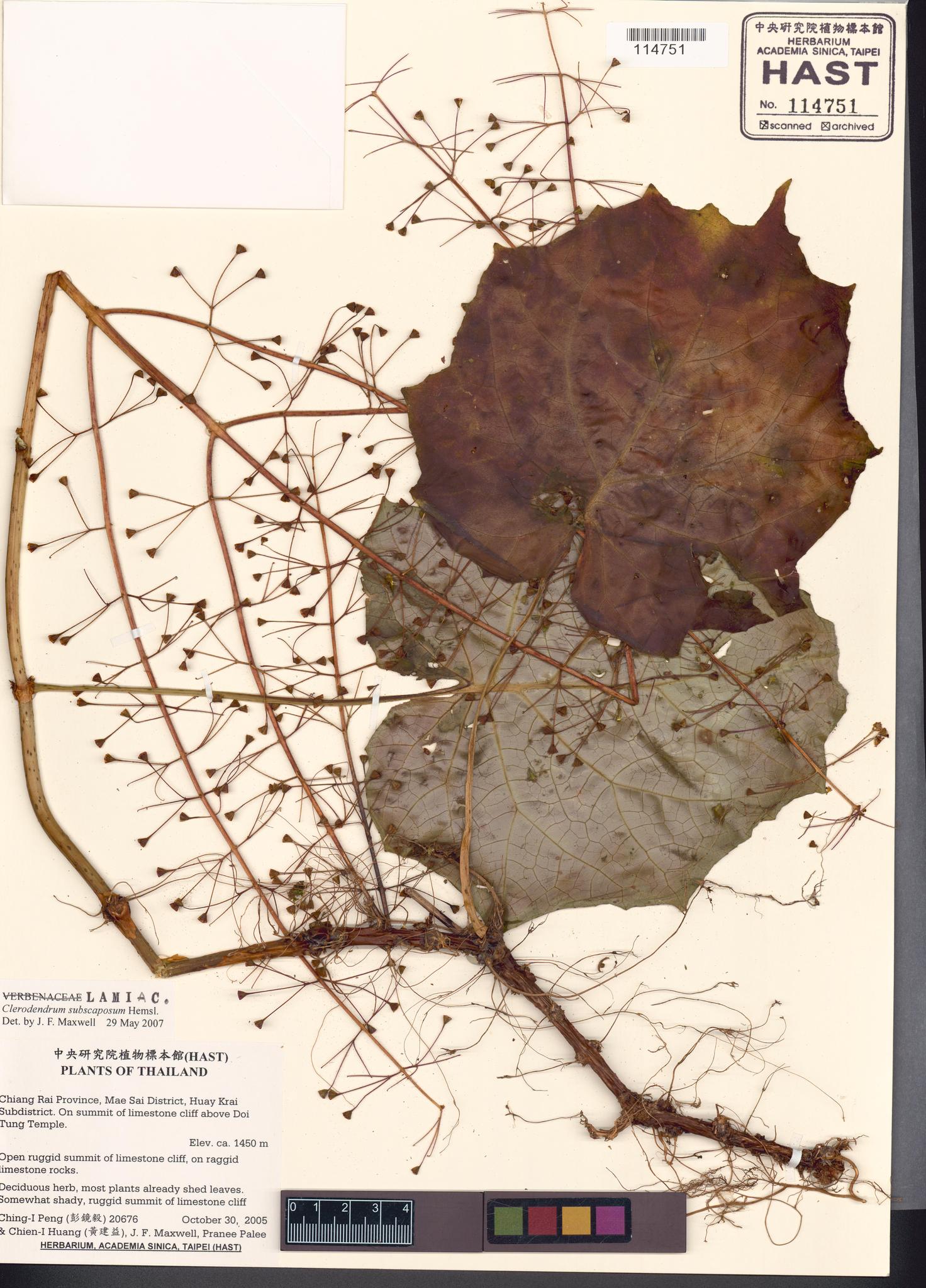 Sample image for viewer