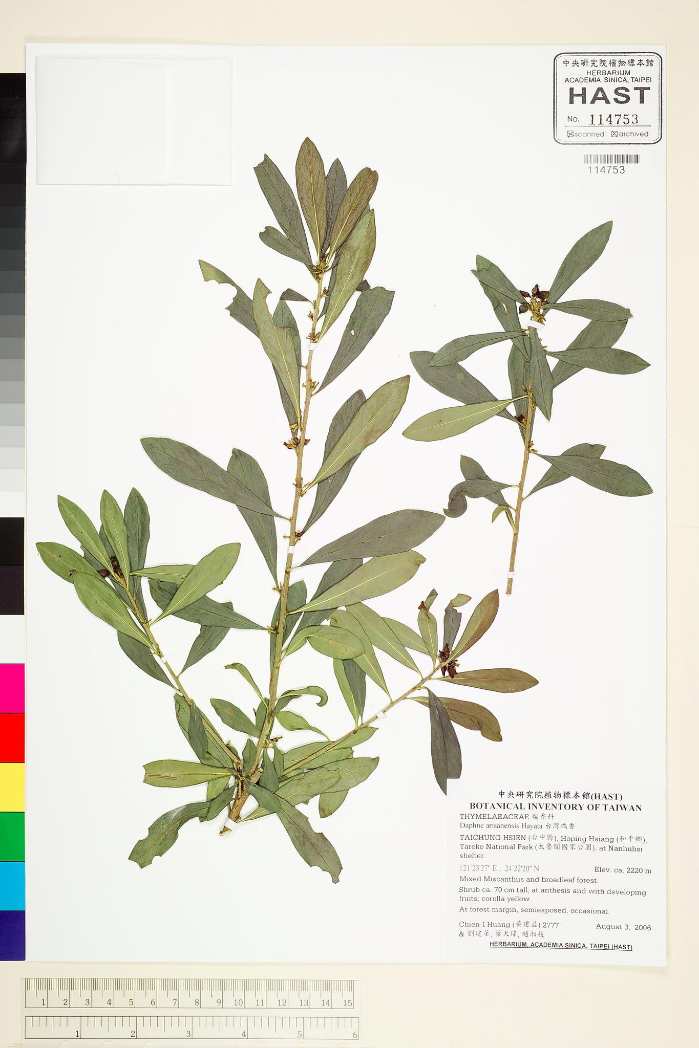 Sample image for viewer