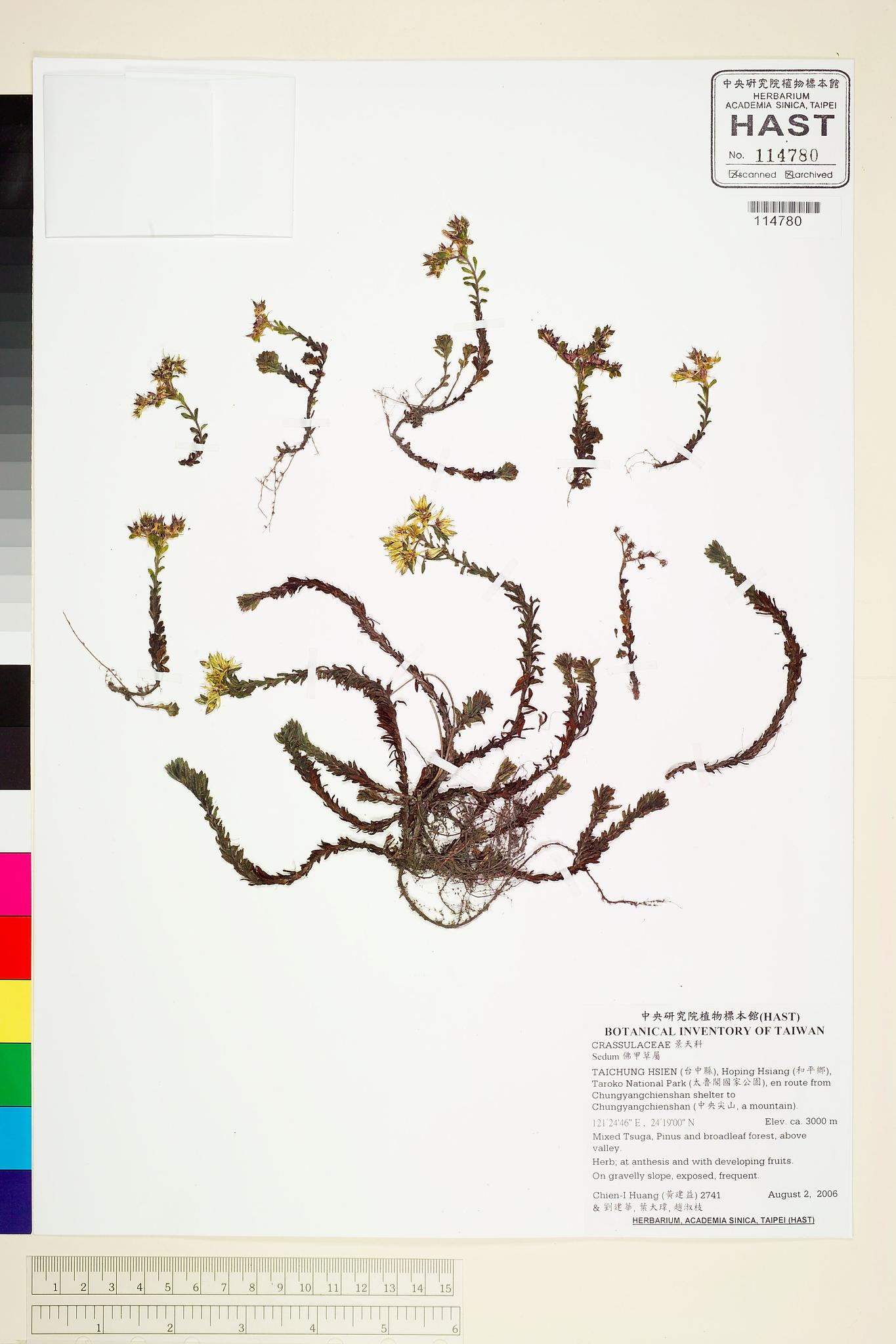 Sample image for viewer