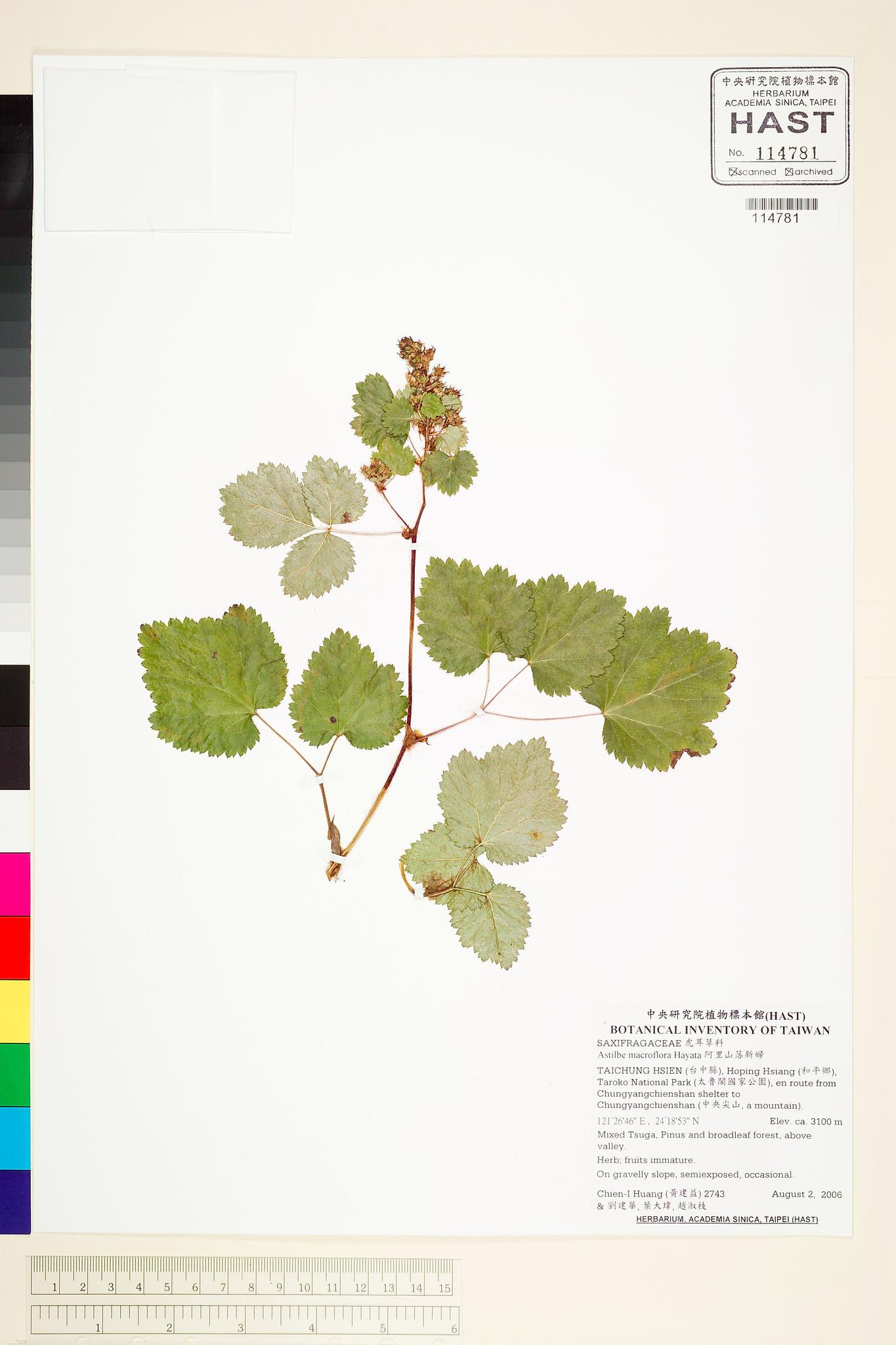 Sample image for viewer