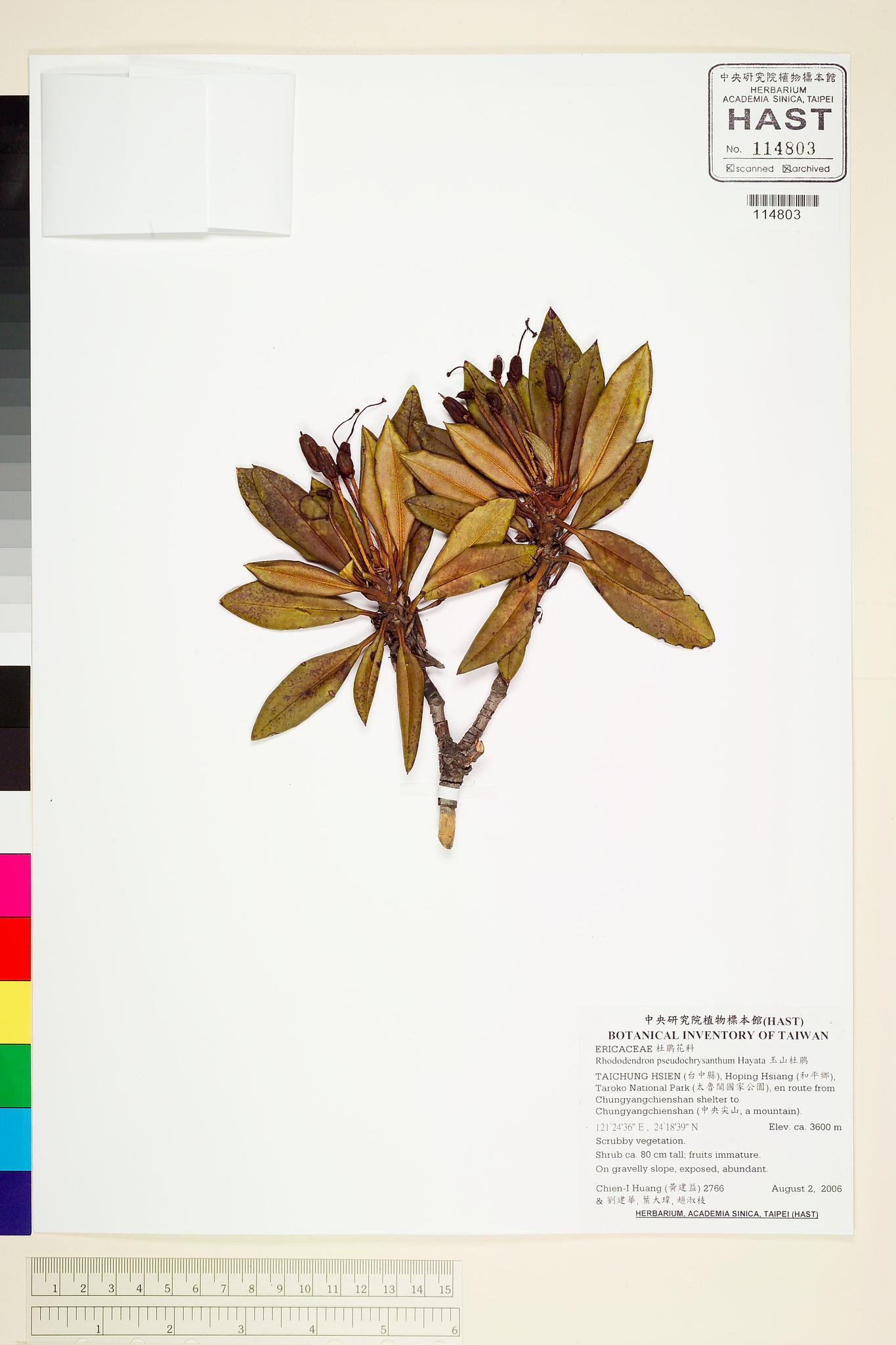 Sample image for viewer