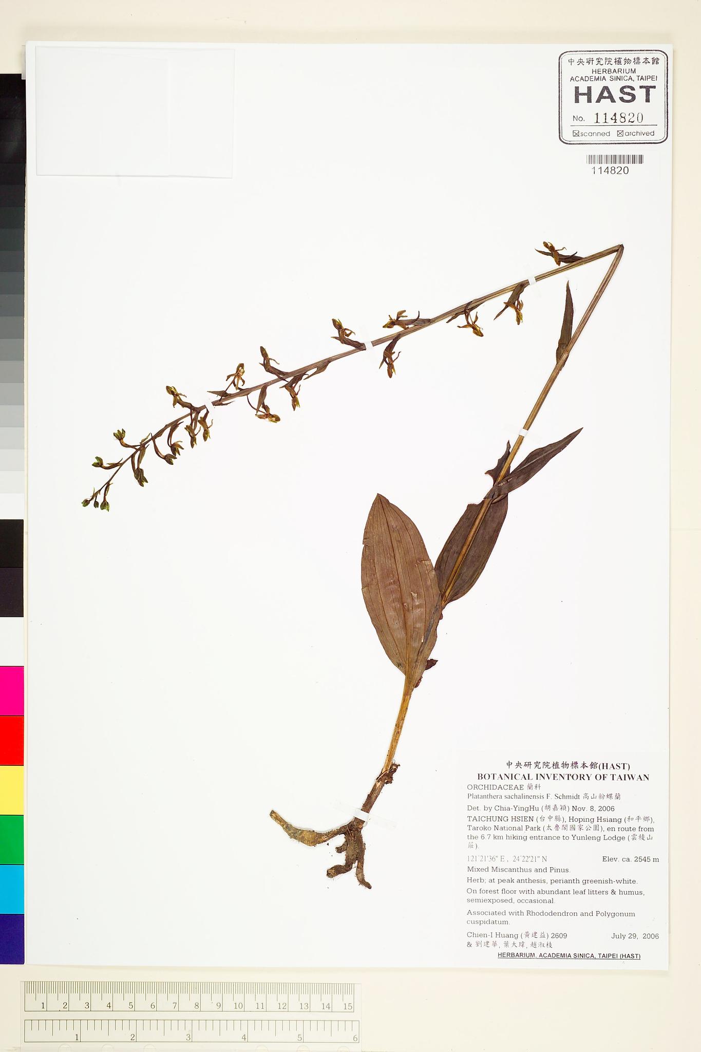 Sample image for viewer