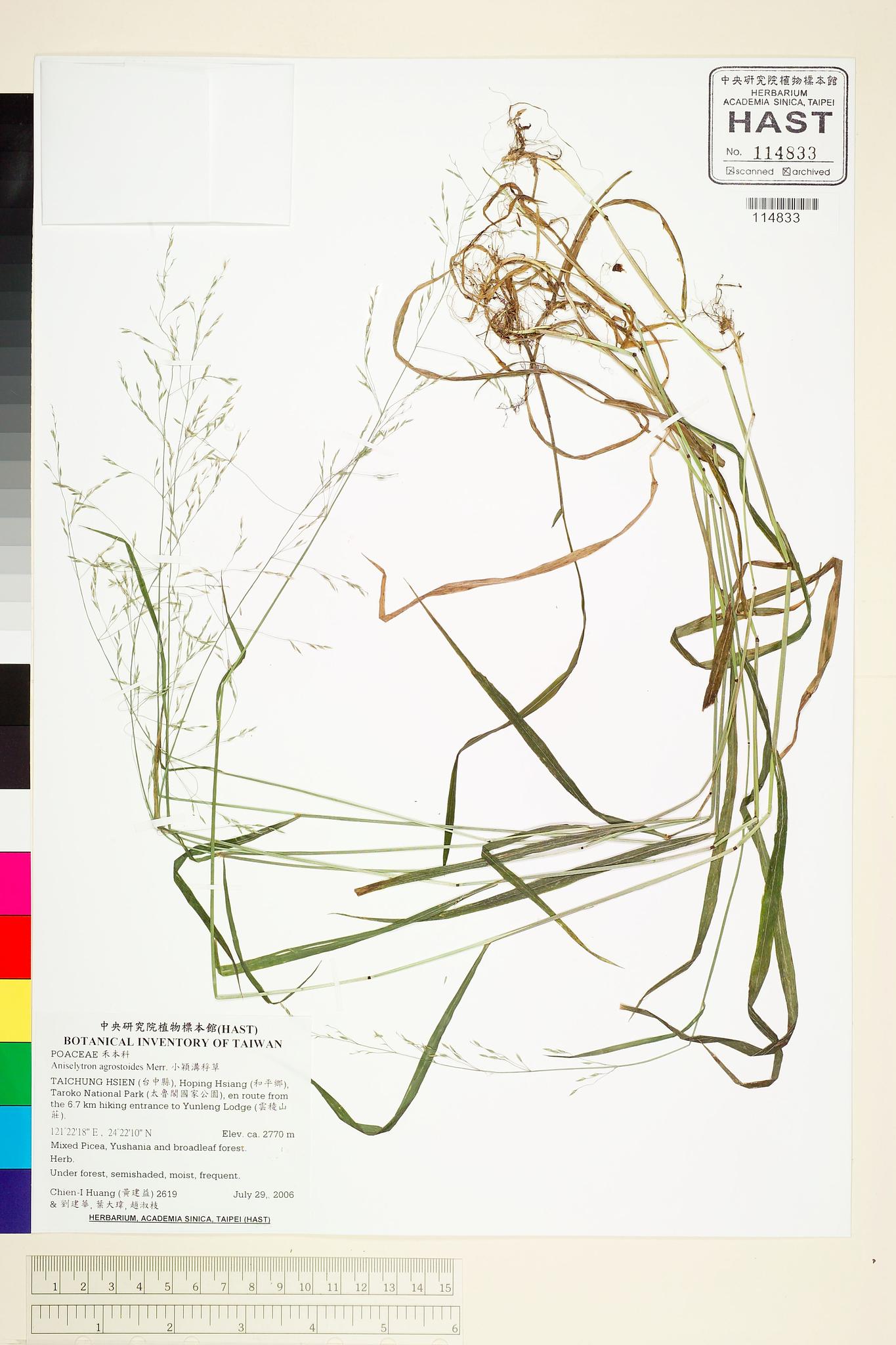 Sample image for viewer