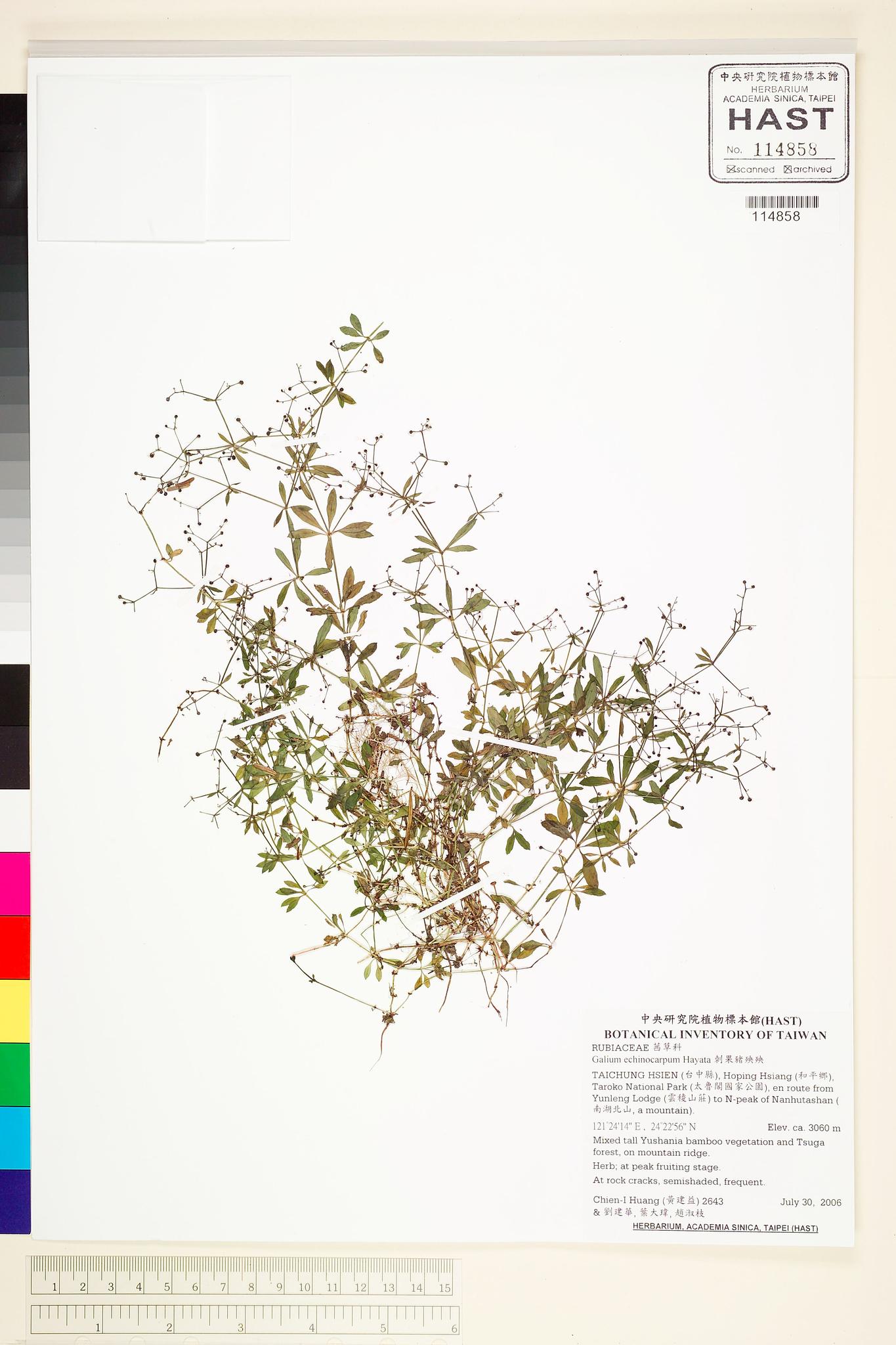 Sample image for viewer