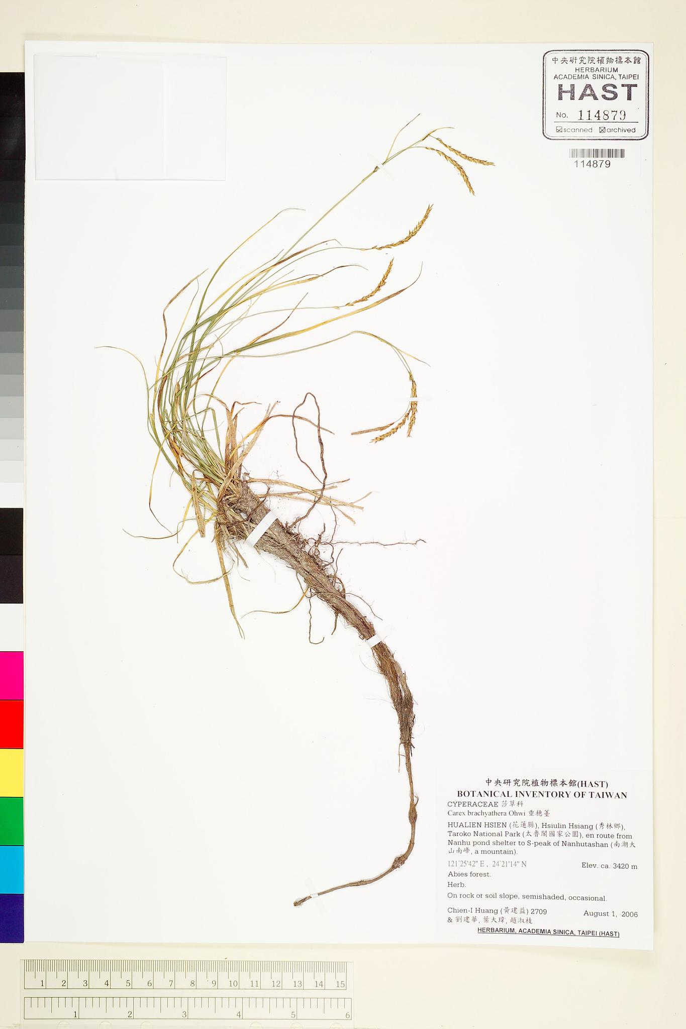 Specimen image
