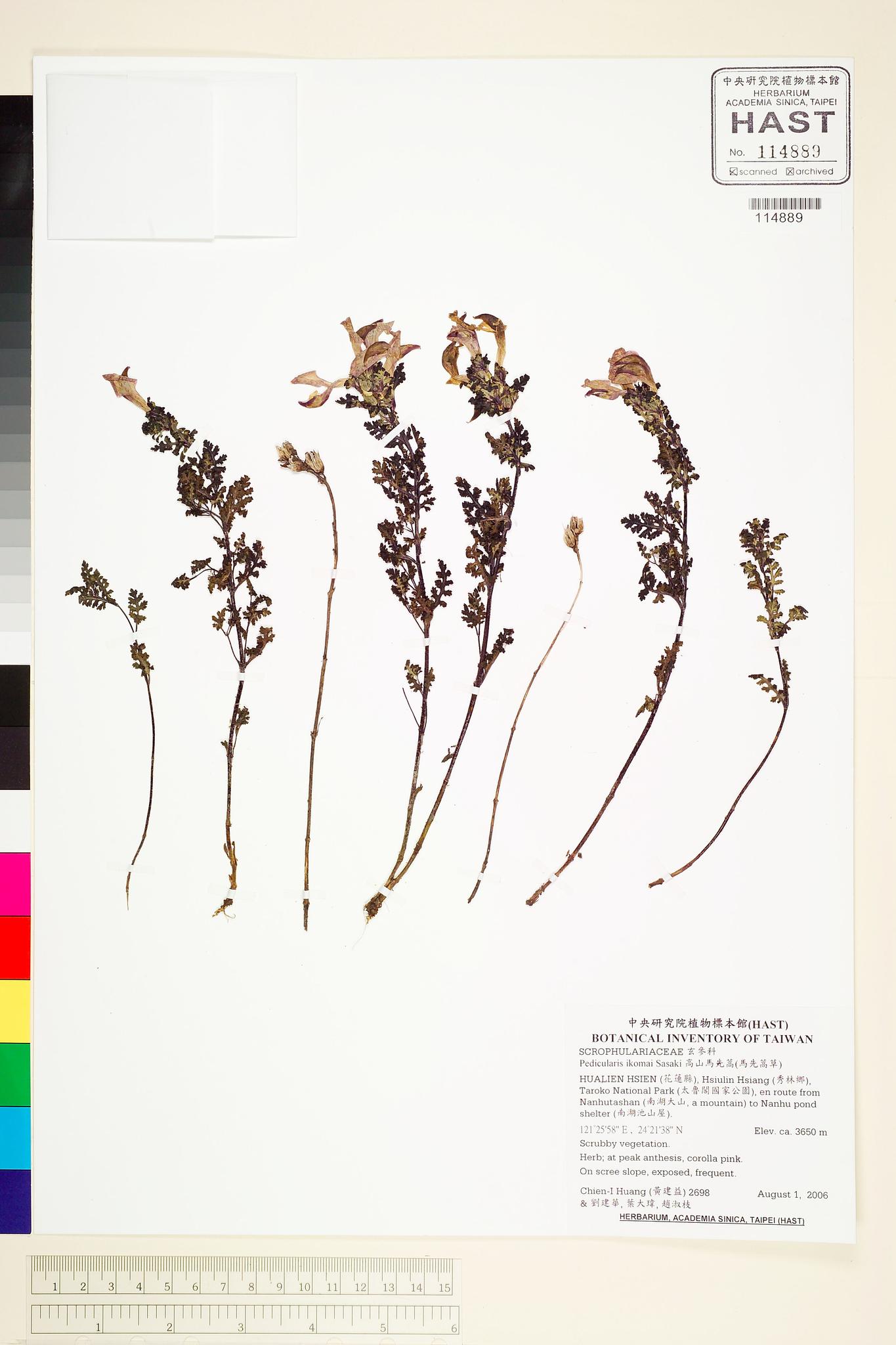 Sample image for viewer