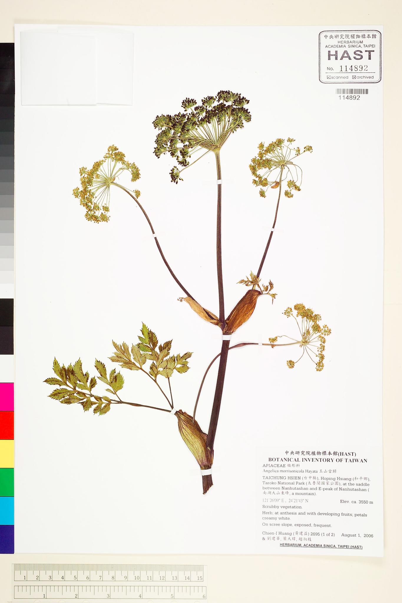 Sample image for viewer