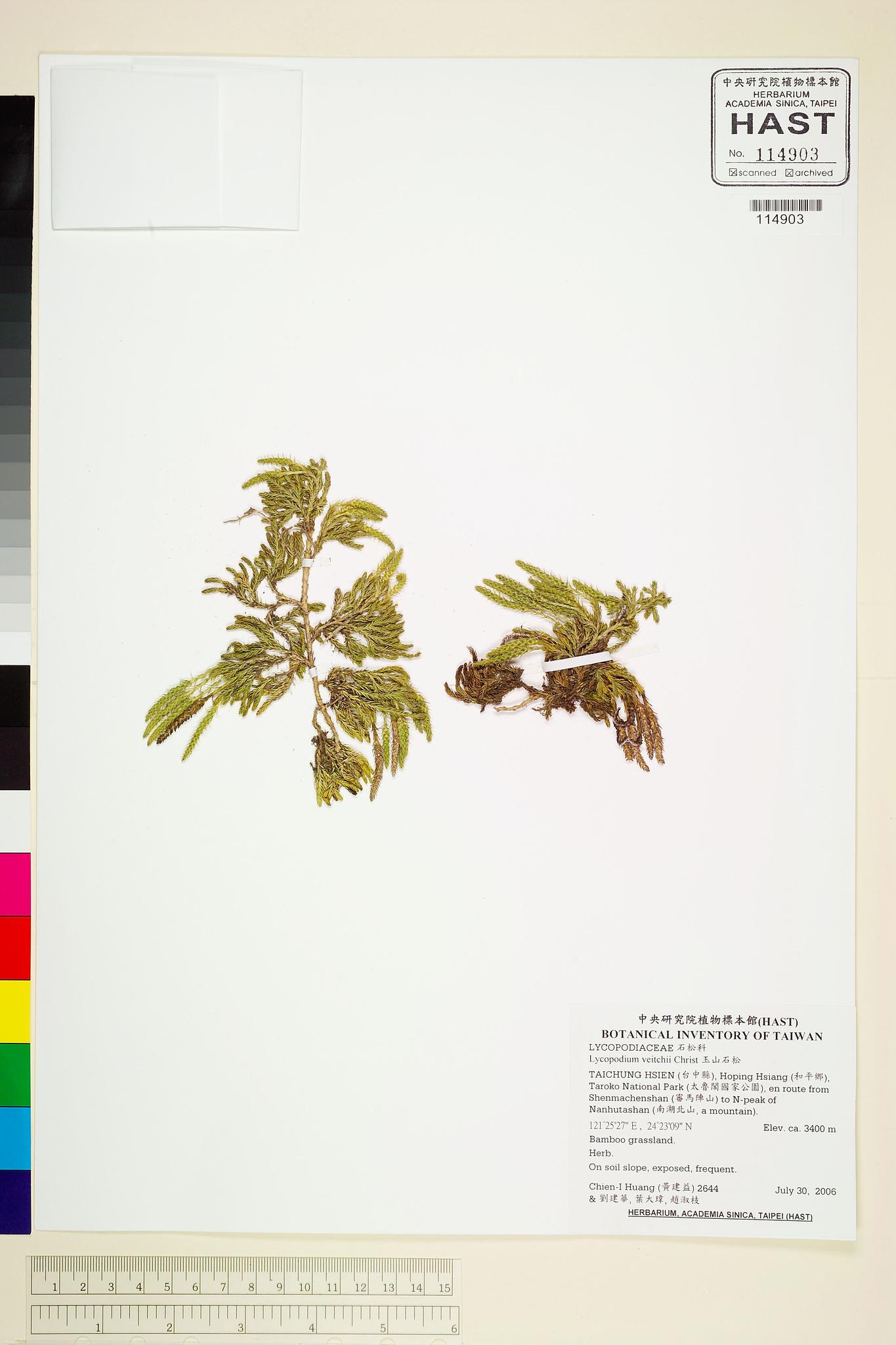 Sample image for viewer