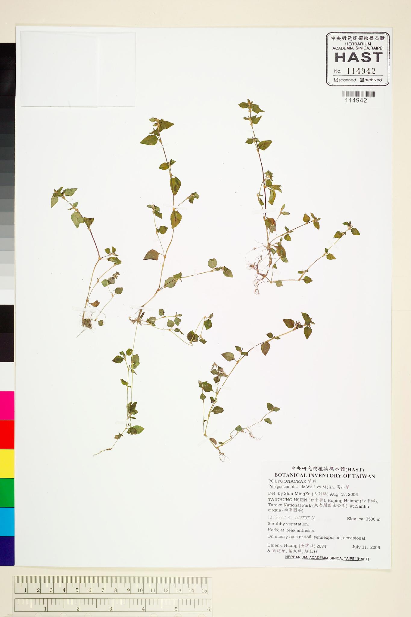 Sample image for viewer