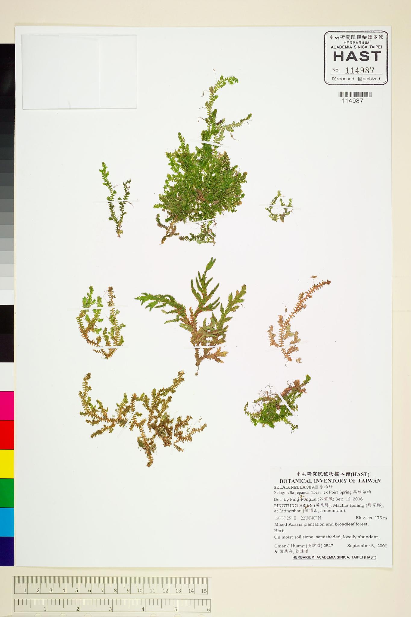 Sample image for viewer