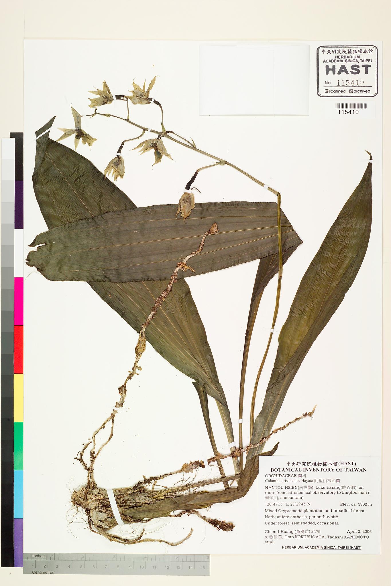 Sample image for viewer