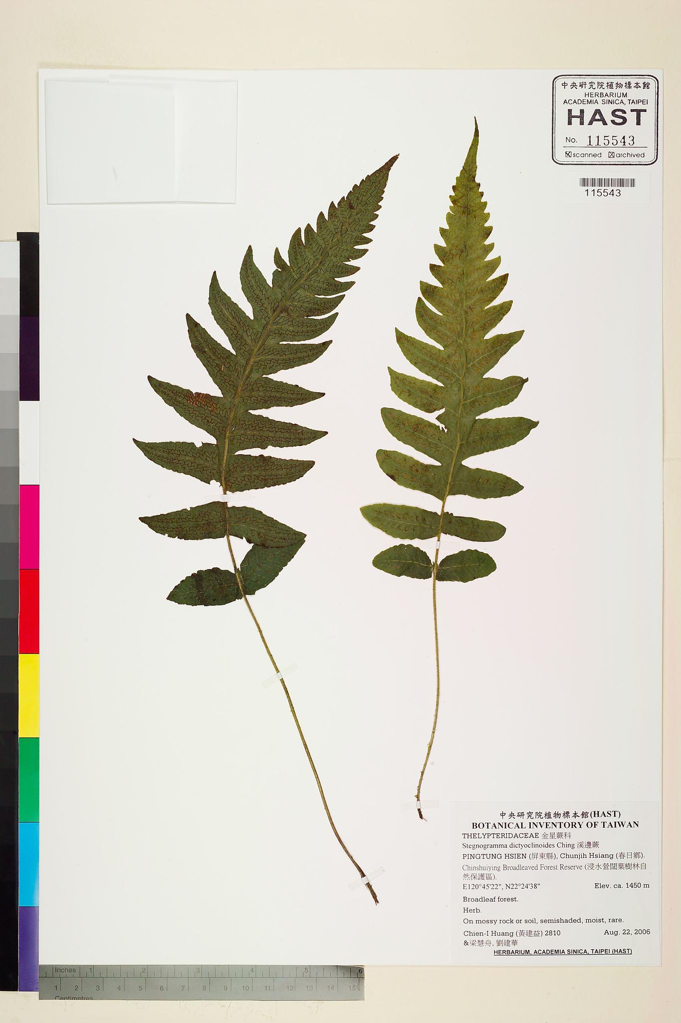 Sample image for viewer