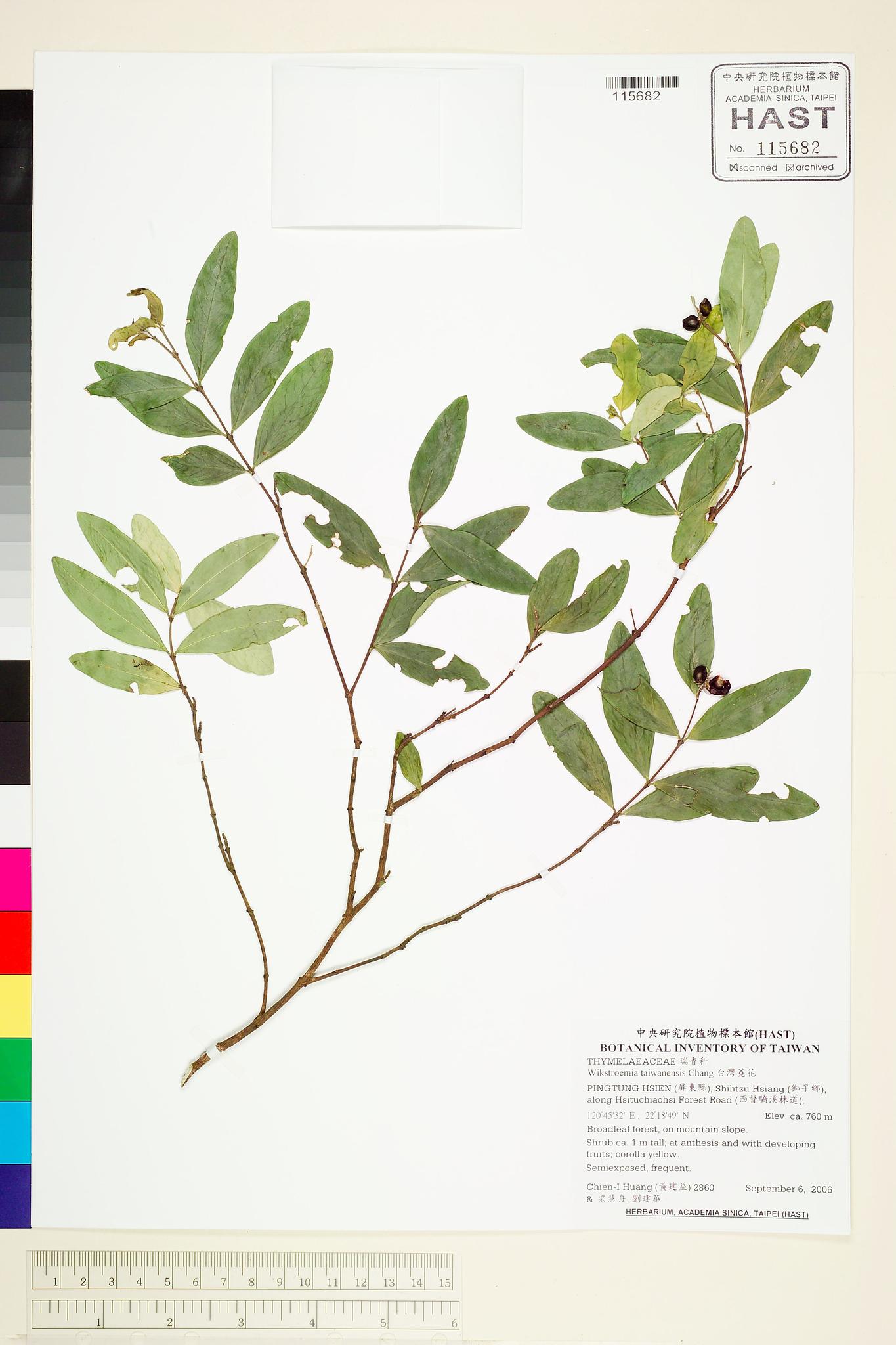 Specimen image