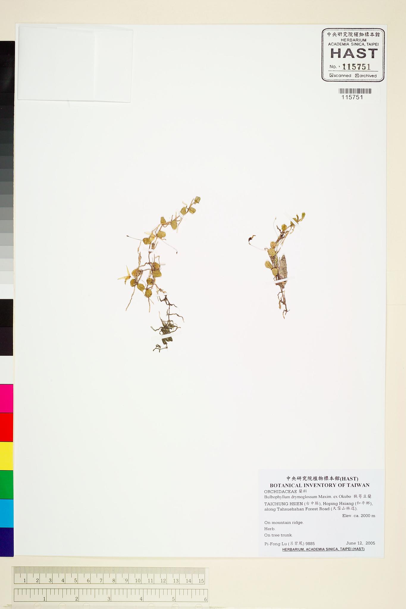 Sample image for viewer