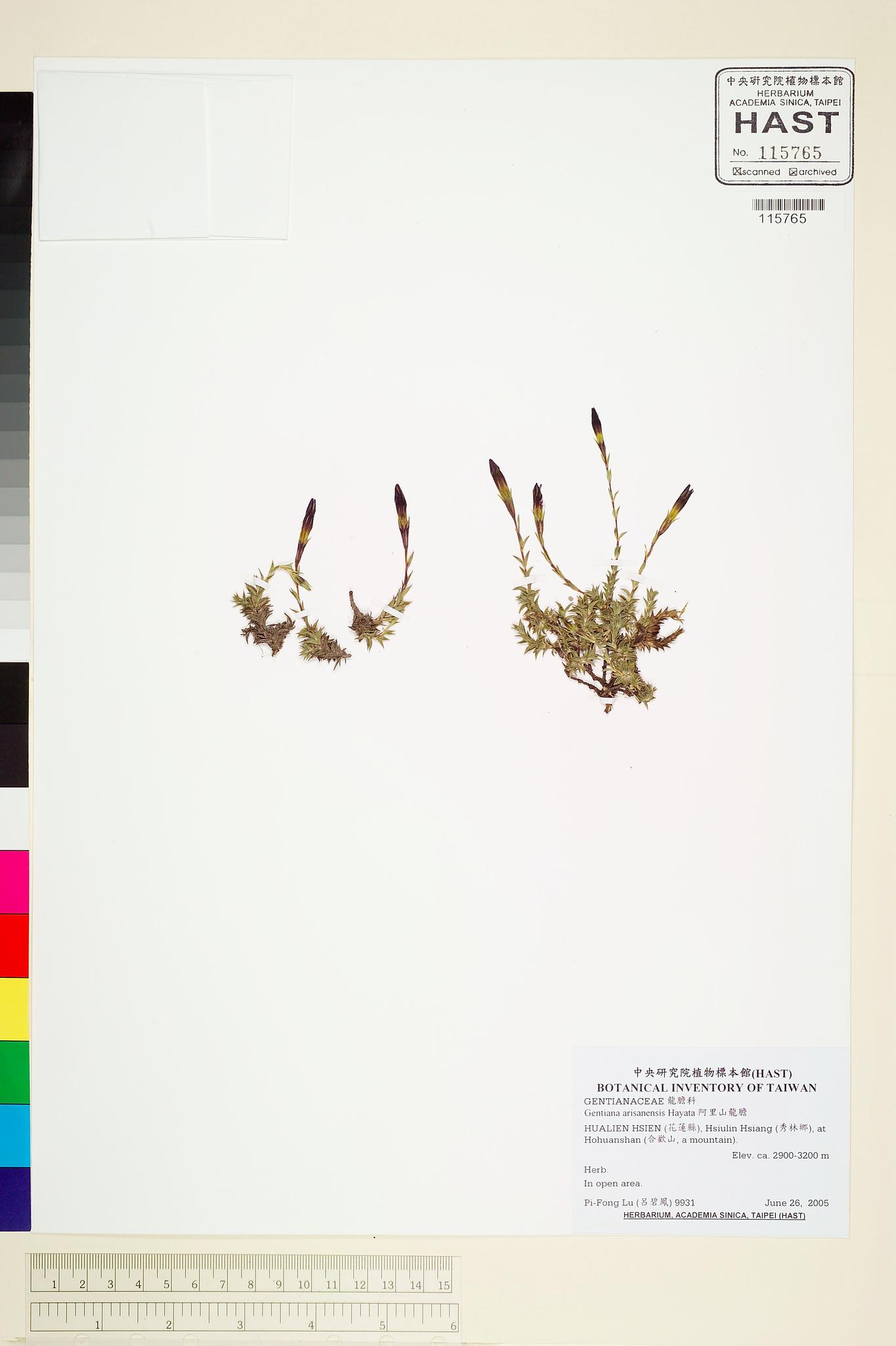 Sample image for viewer