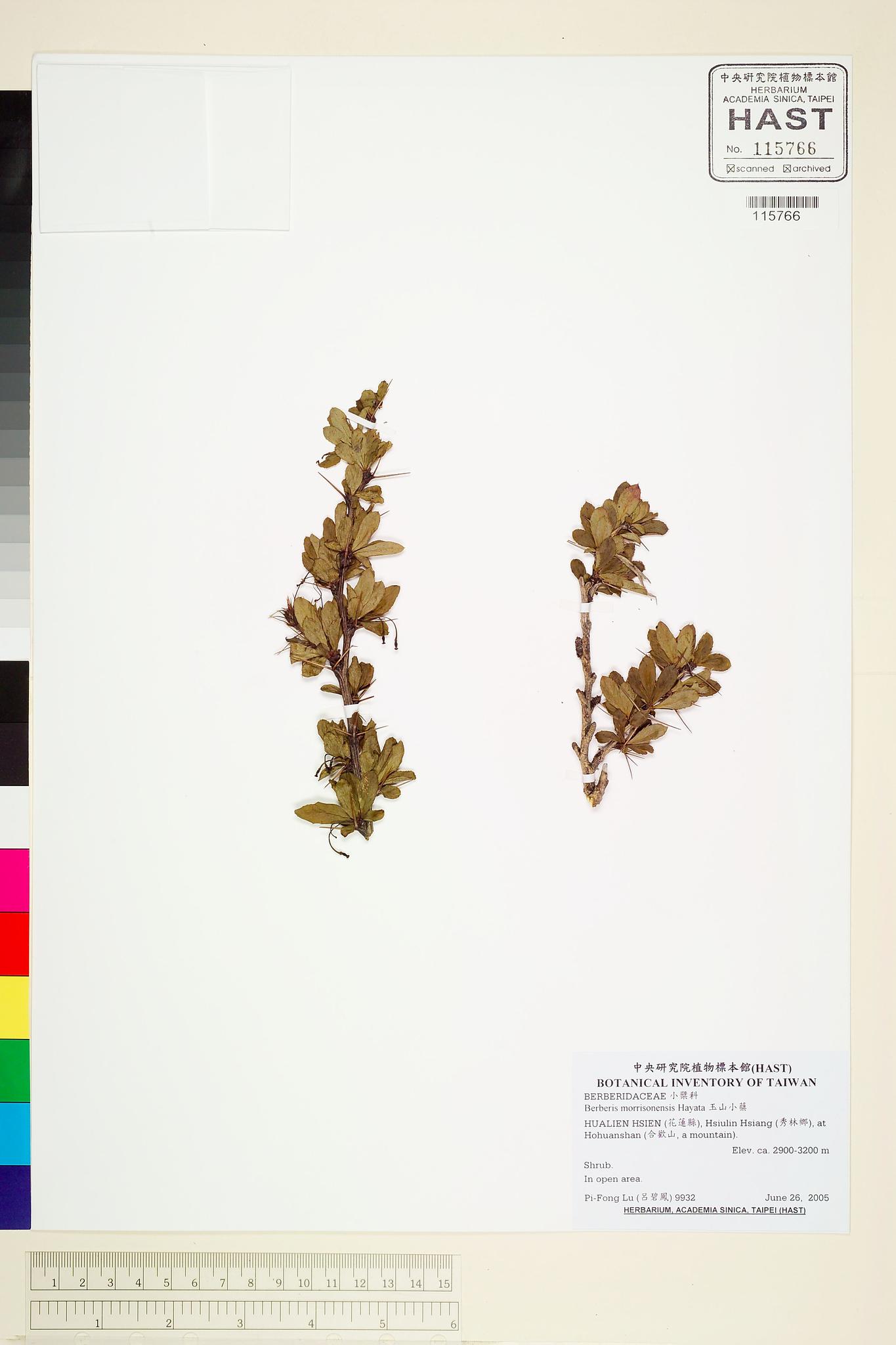 Sample image for viewer