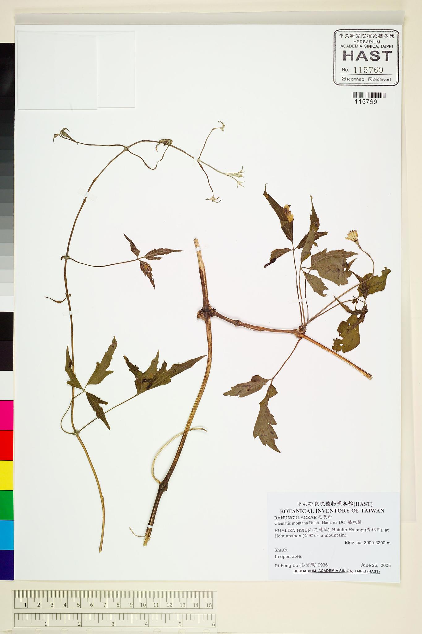 Sample image for viewer