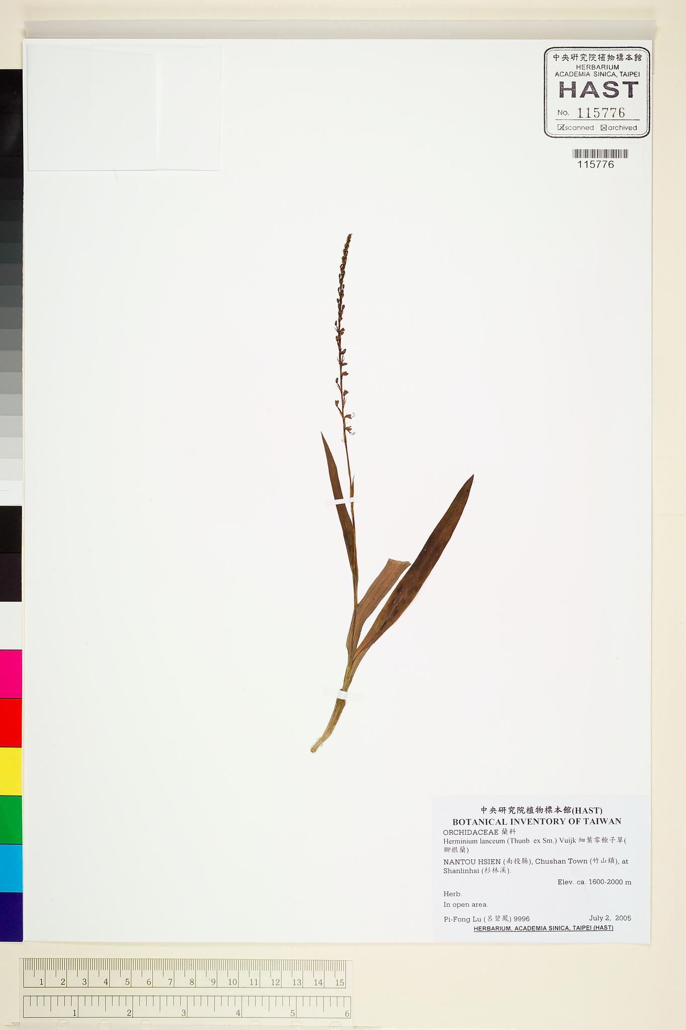 Sample image for viewer