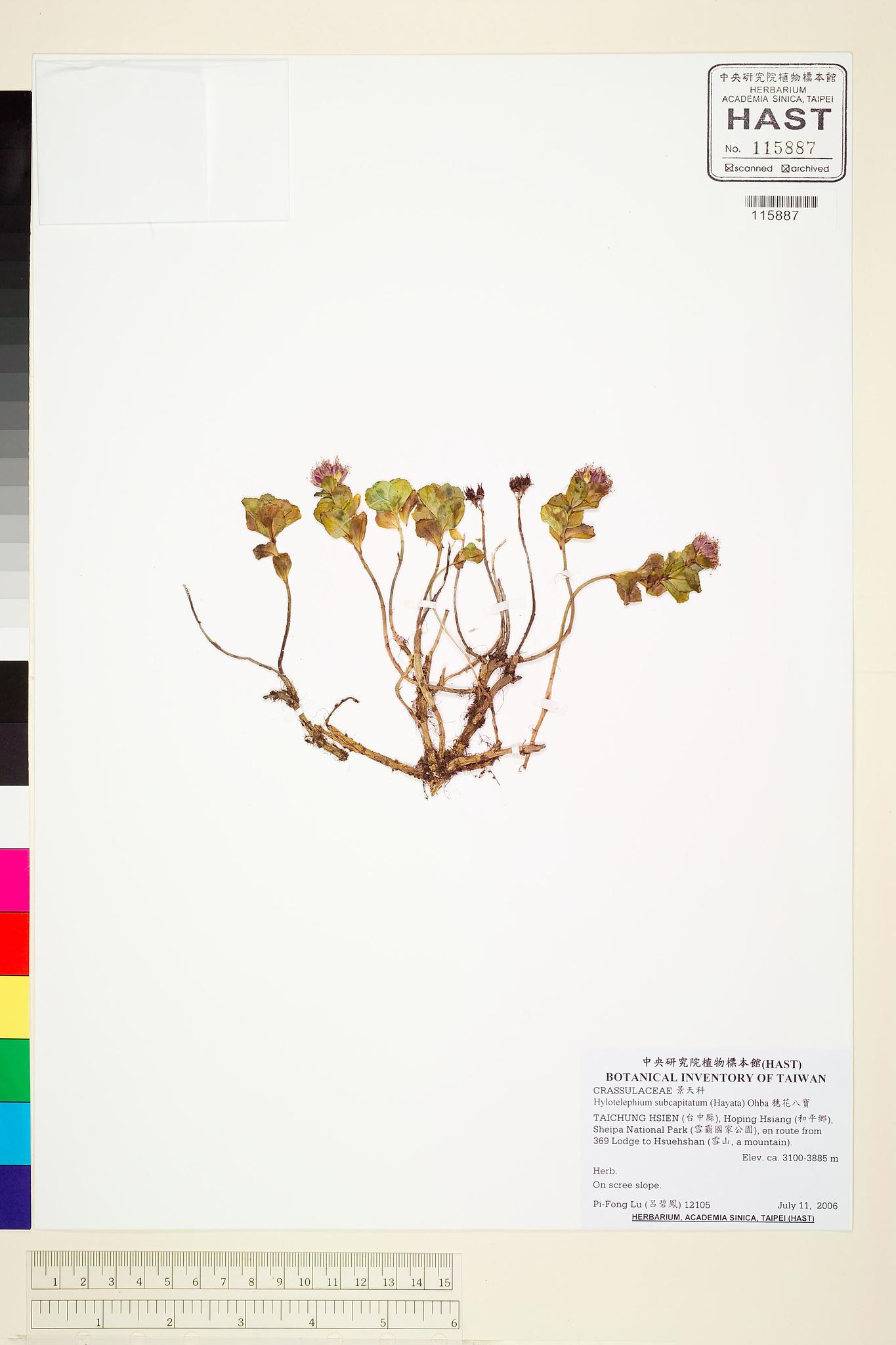 Sample image for viewer