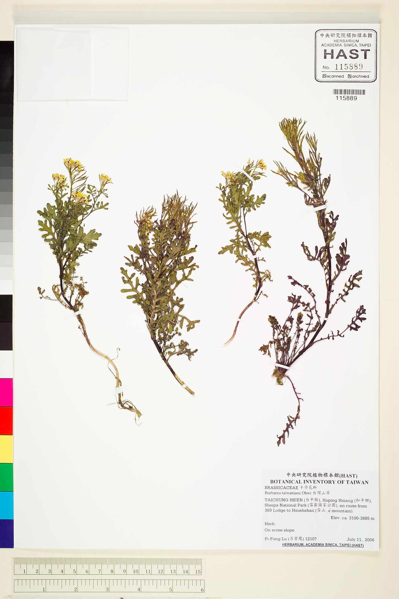 Sample image for viewer