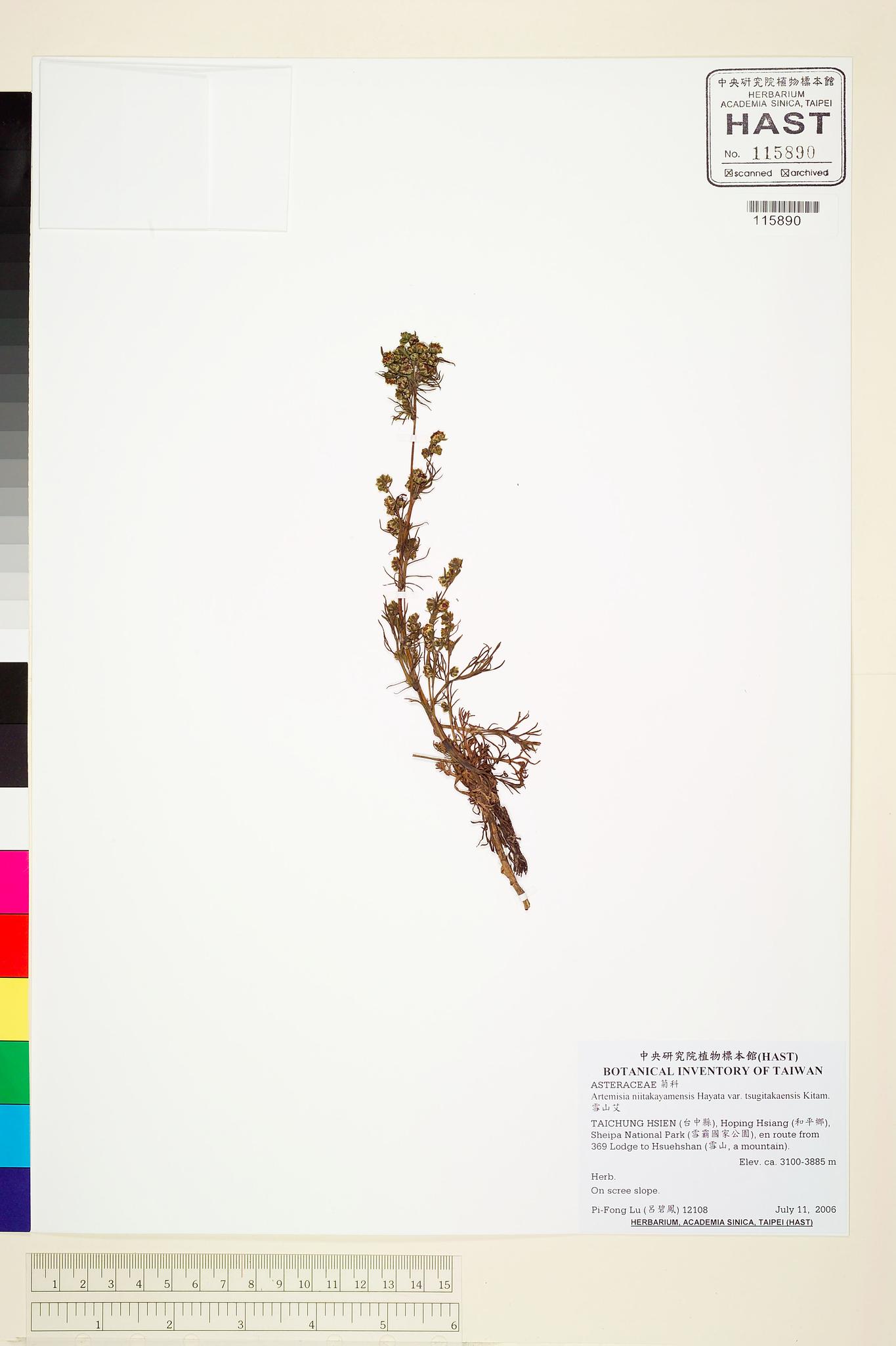 Sample image for viewer