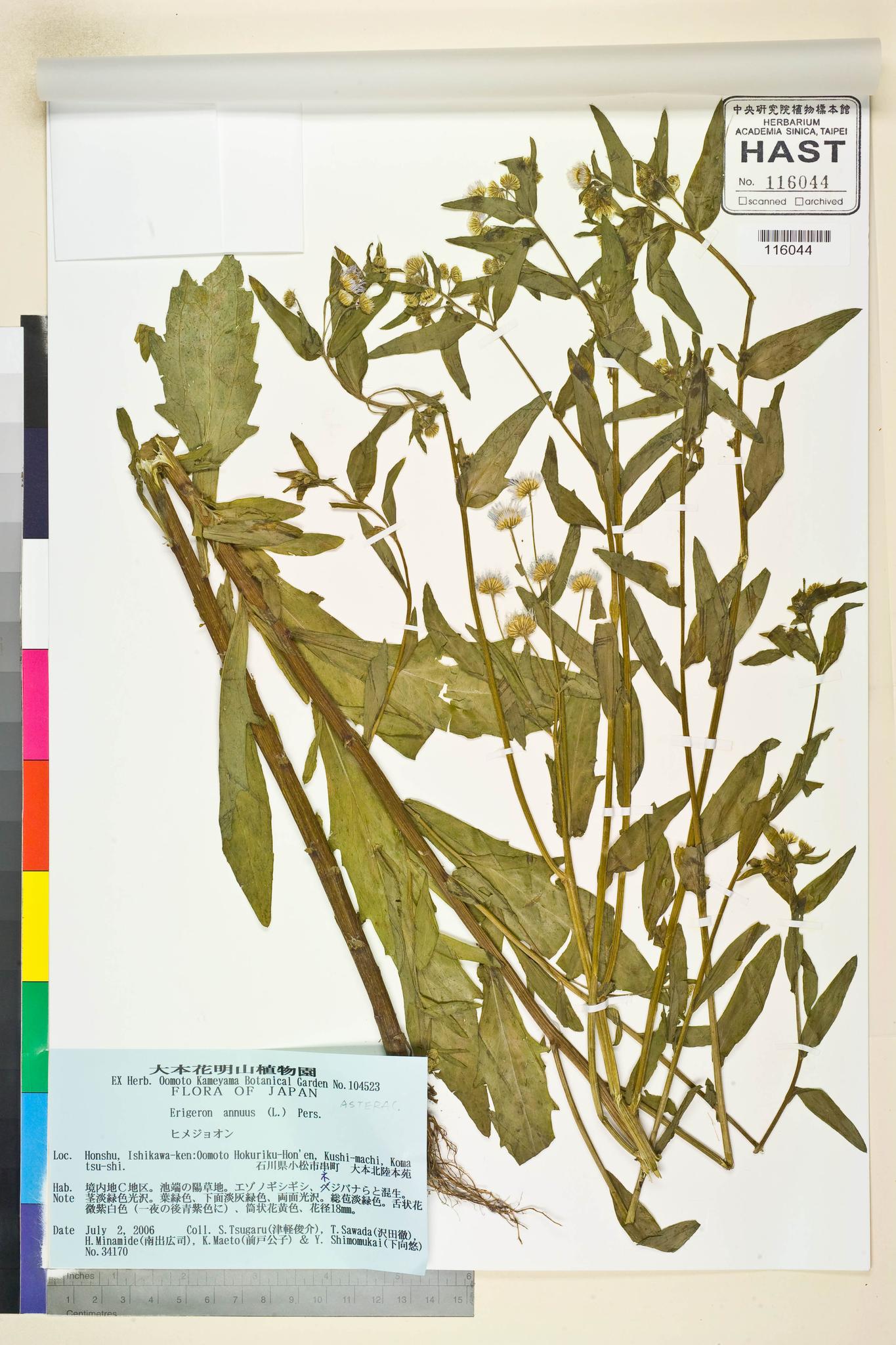 Sample image for viewer