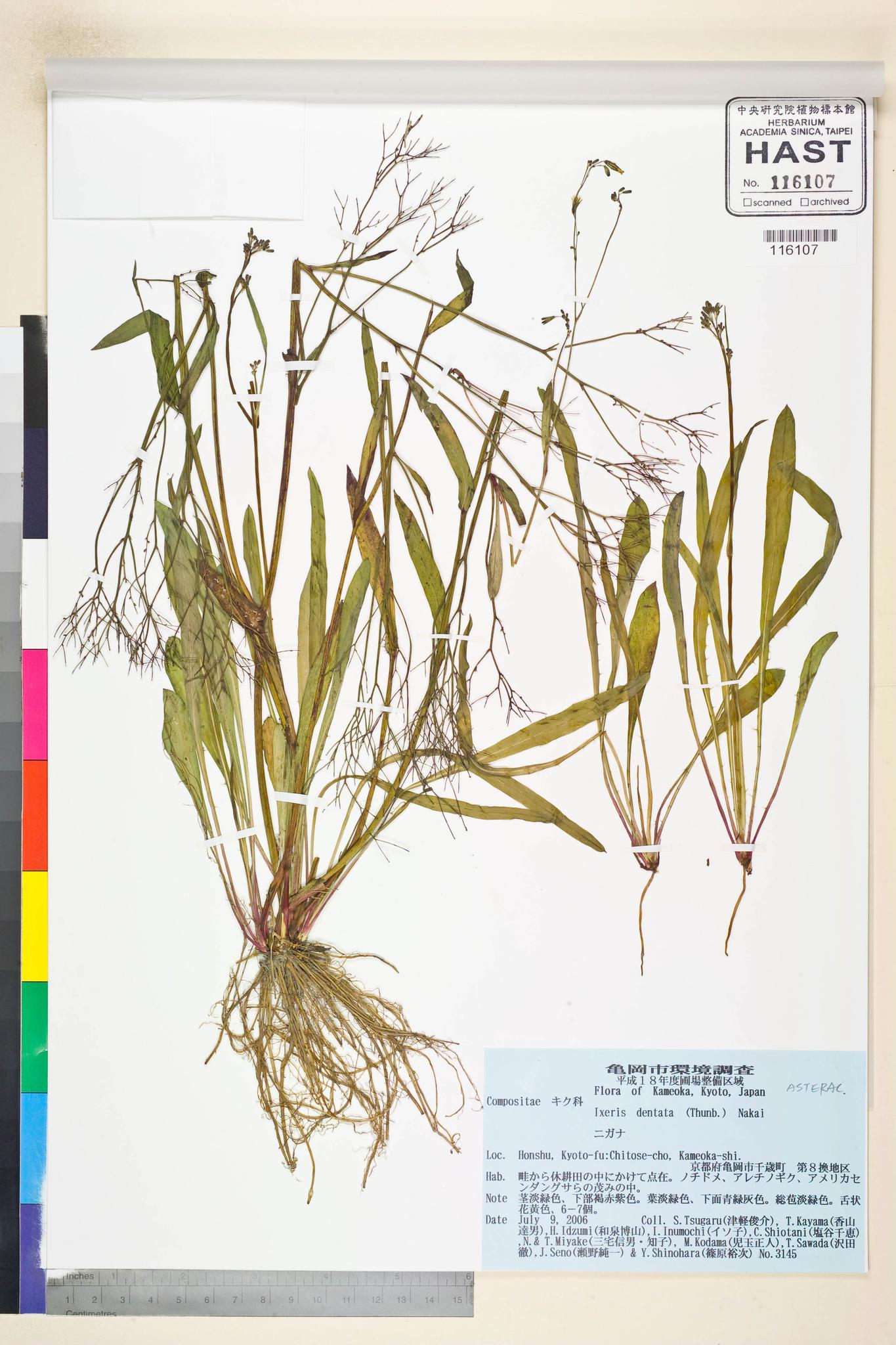 Specimen image