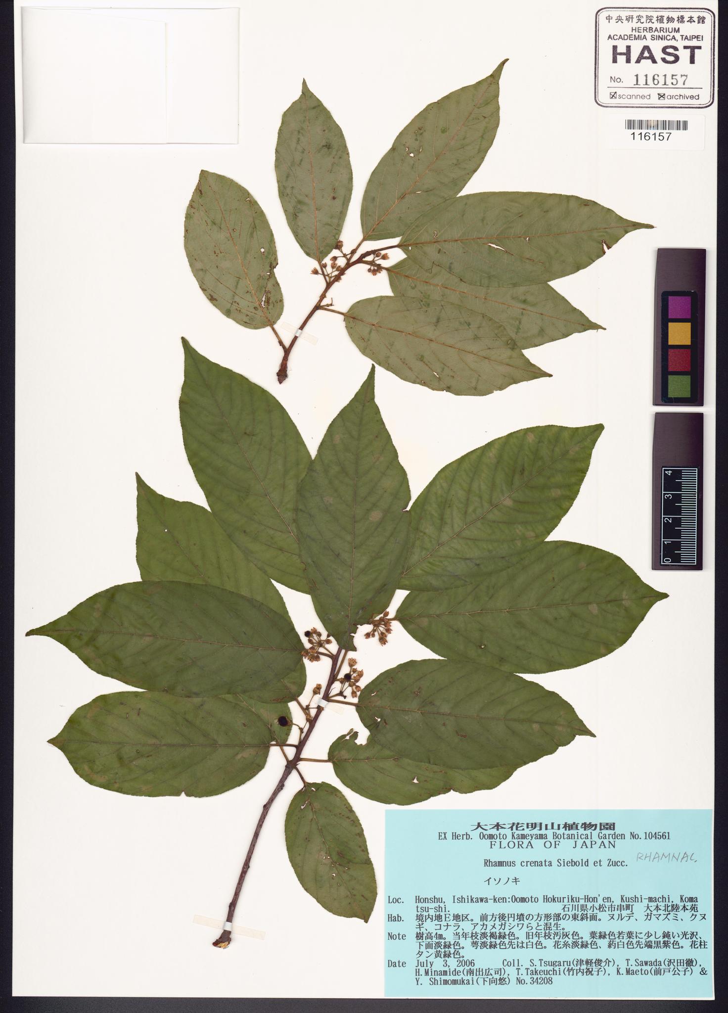 Sample image for viewer