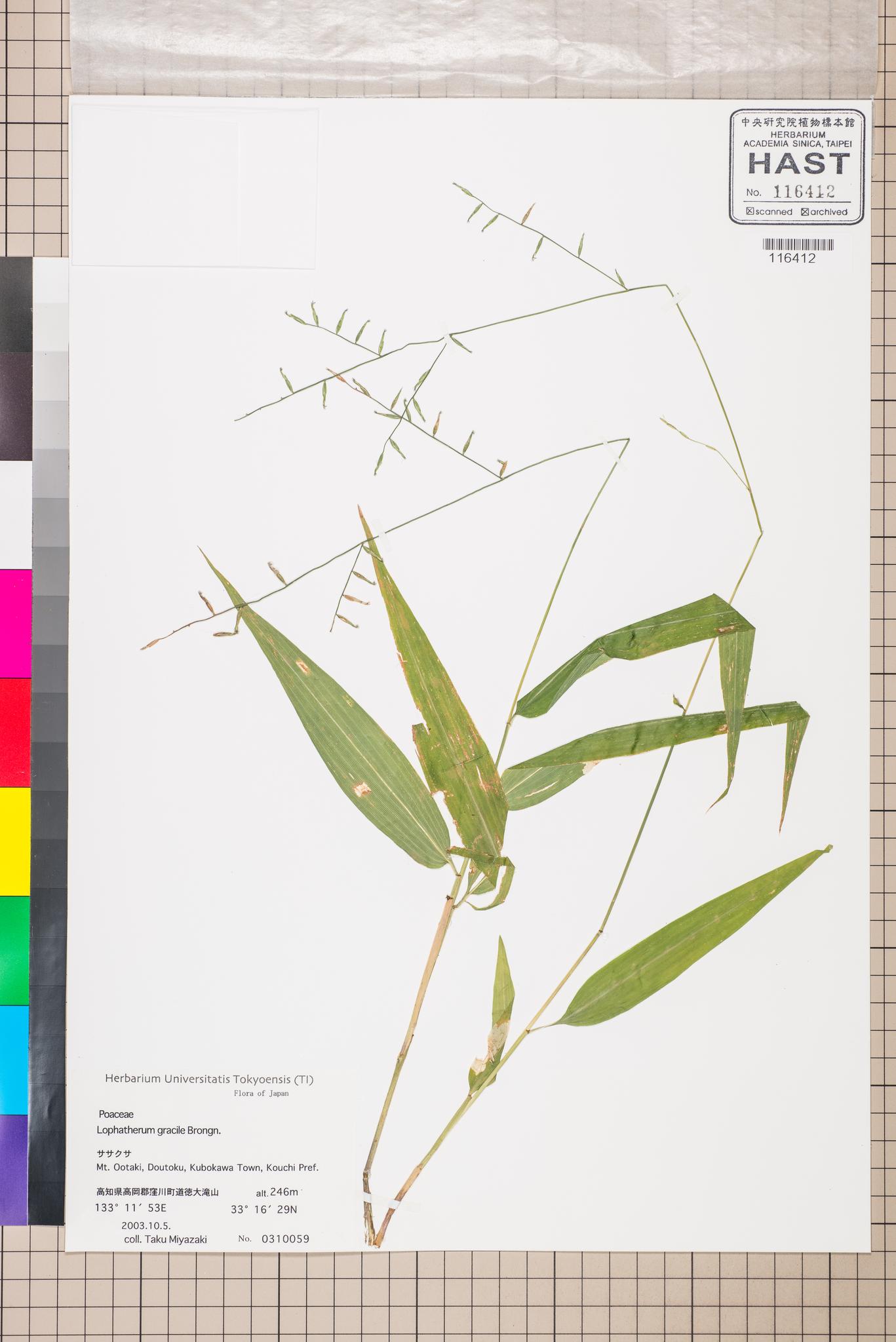 Sample image for viewer